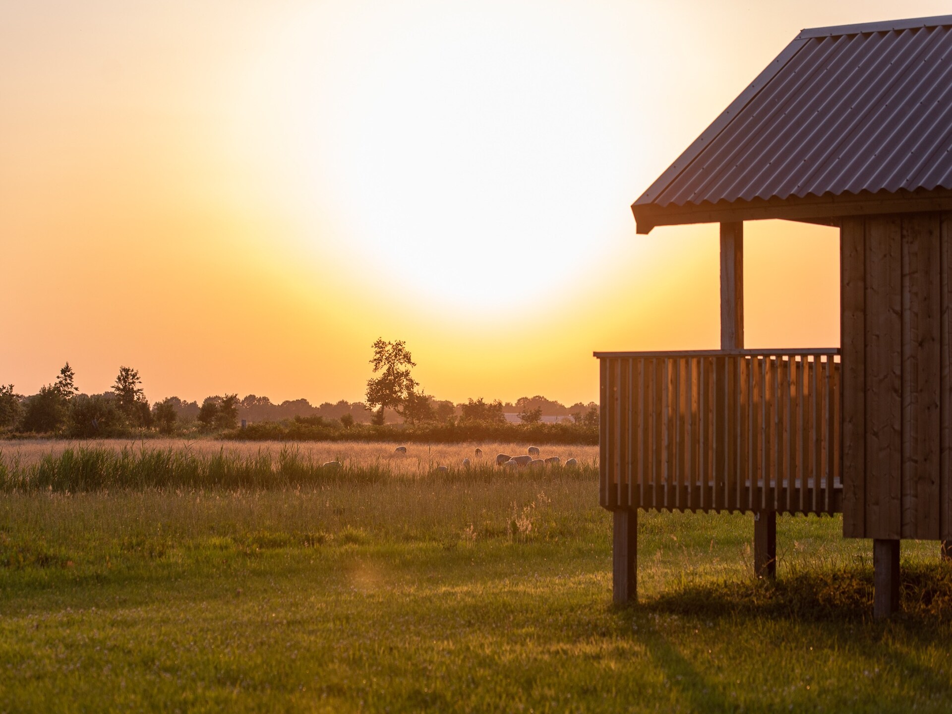 Acker Lodges 3: 16-persoons groepsaccommodatie aan weilanden in Drenthe - foto 22