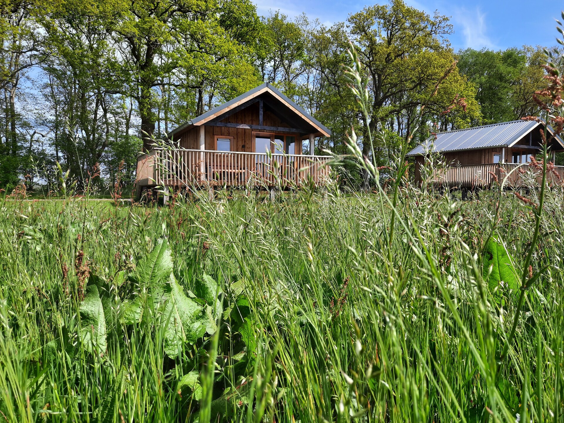 Acker Lodges 3: 16-persoons groepsaccommodatie aan weilanden in Drenthe - foto 25