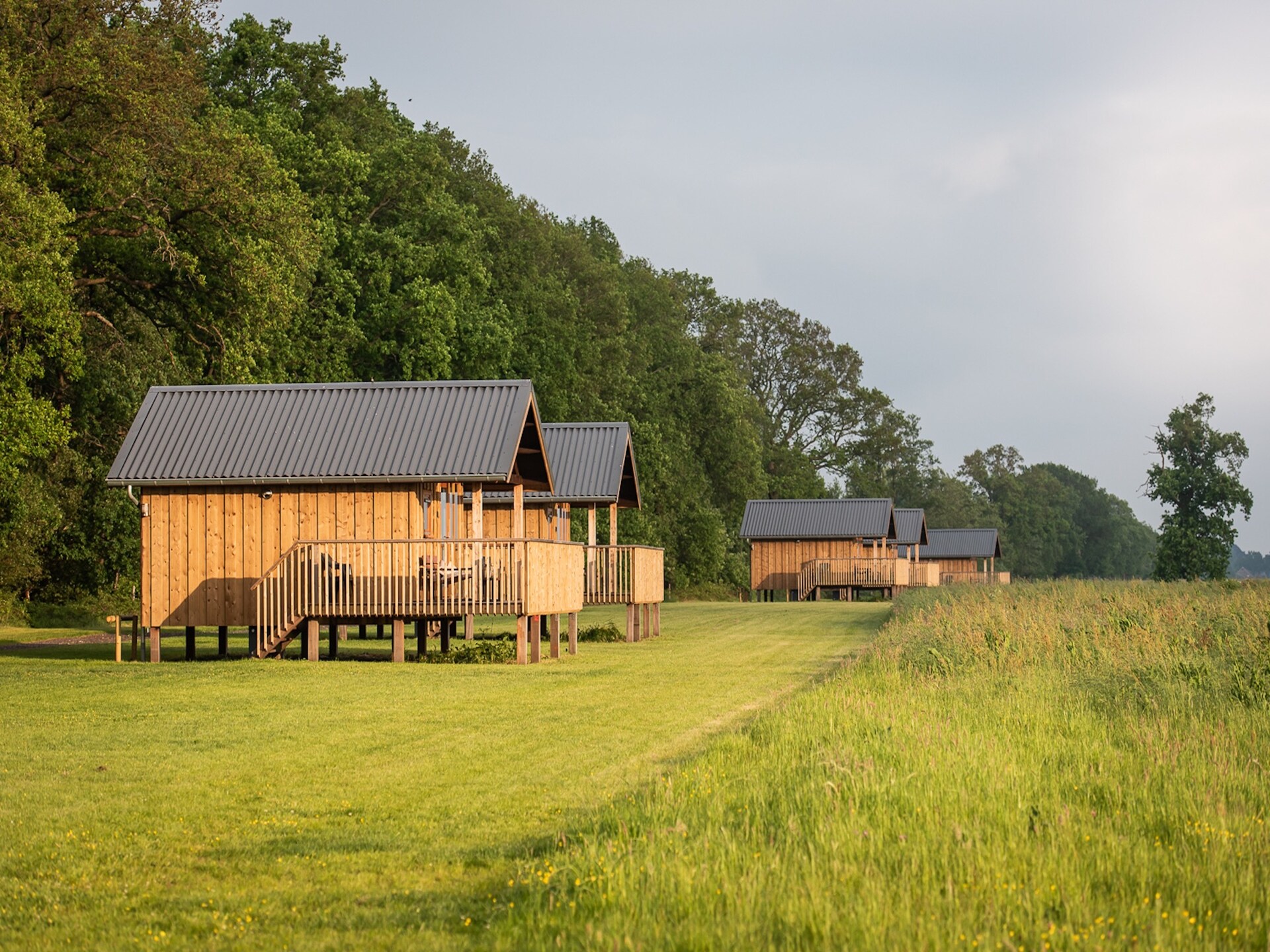 Acker Lodges 3: 16-persoons groepsaccommodatie aan weilanden in Drenthe - foto 6