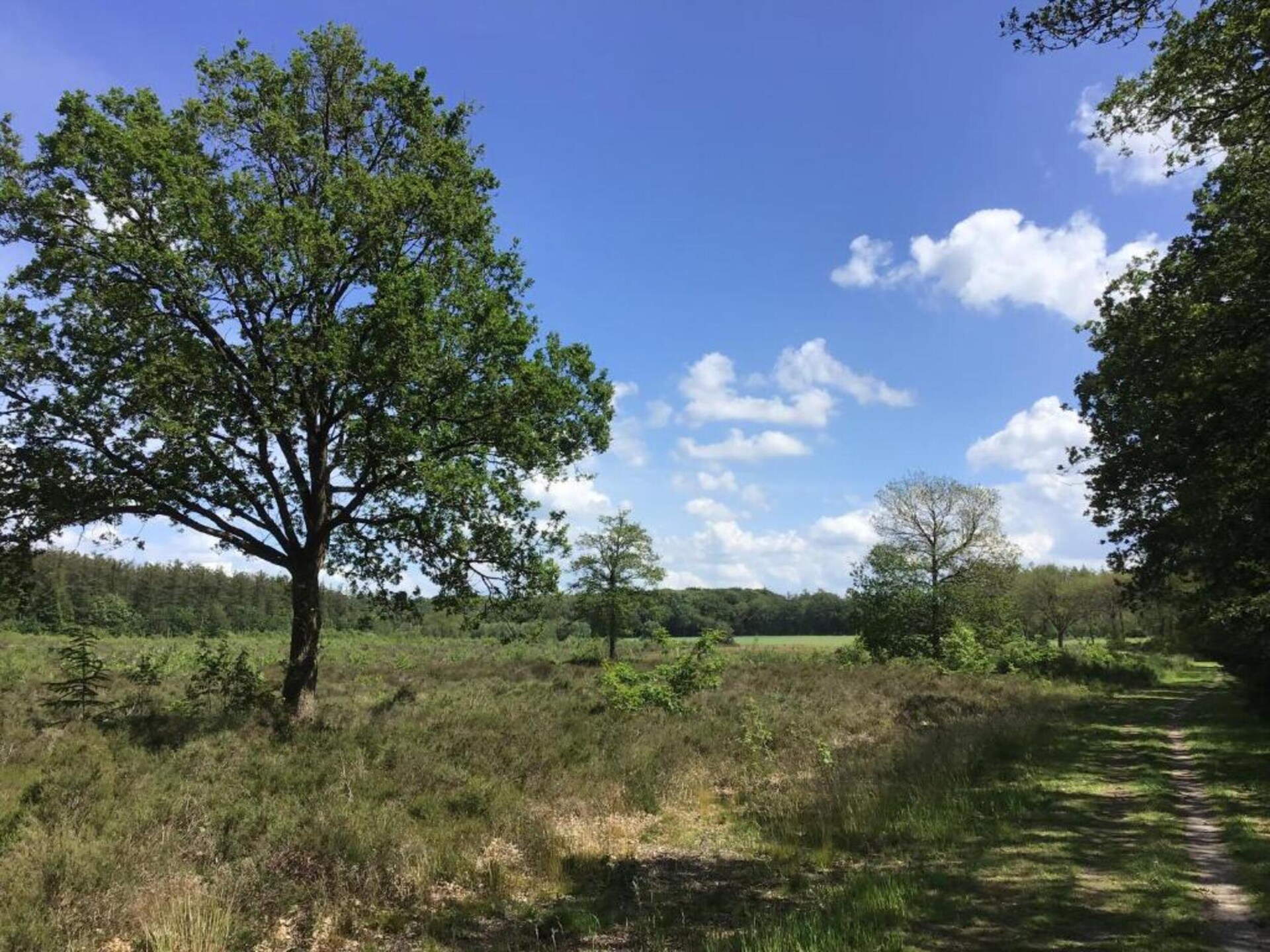 Acker Lodges 3: 16-persoons groepsaccommodatie aan weilanden in Drenthe - foto 32