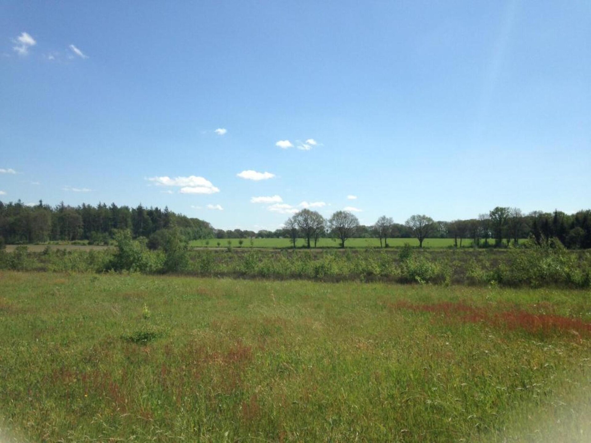 Acker Lodges 3: 16-persoons groepsaccommodatie aan weilanden in Drenthe - foto 39