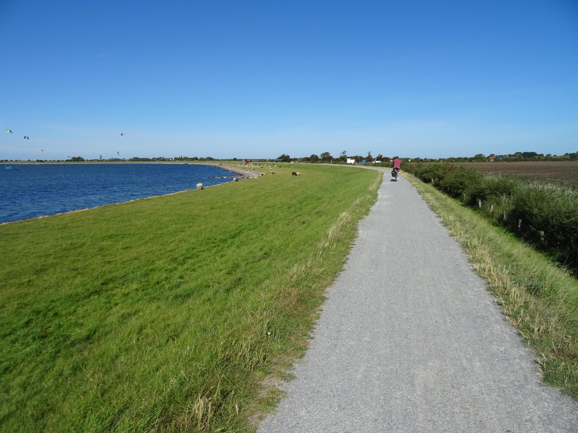 4-persoons appartement direct aan zee in Orth - foto 28