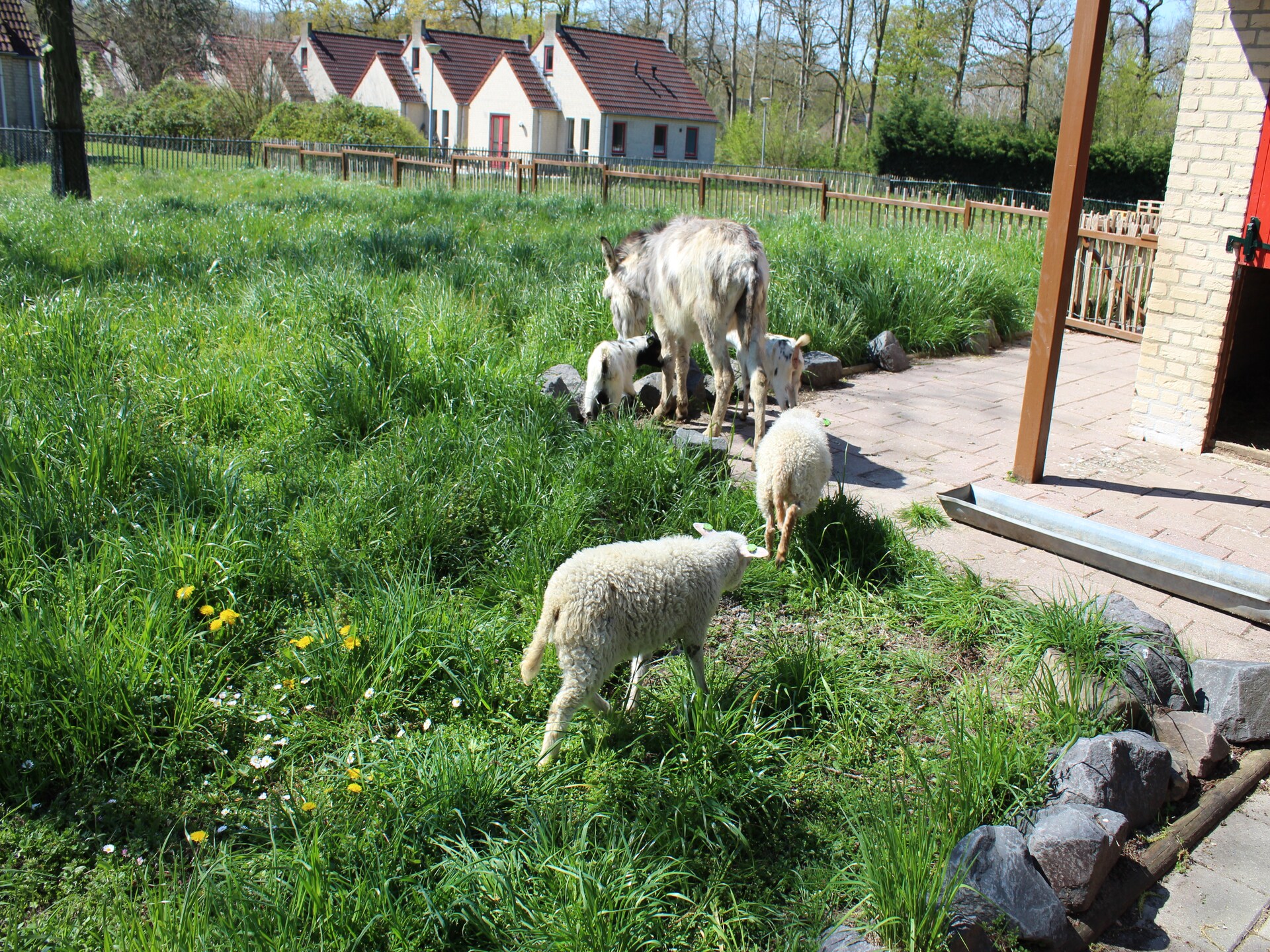 Vrijstaand vakantiehuis op 't Broeckhuys, aan recreatiemeer in Ewijk - foto 27