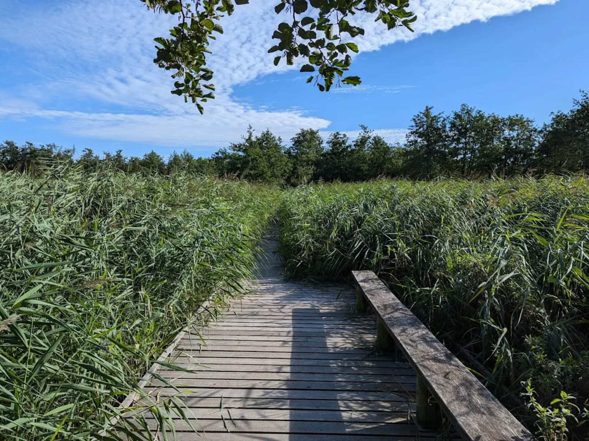 Sprookjesachtig boshuis met privémeer bij Tisvildeleje - foto 4
