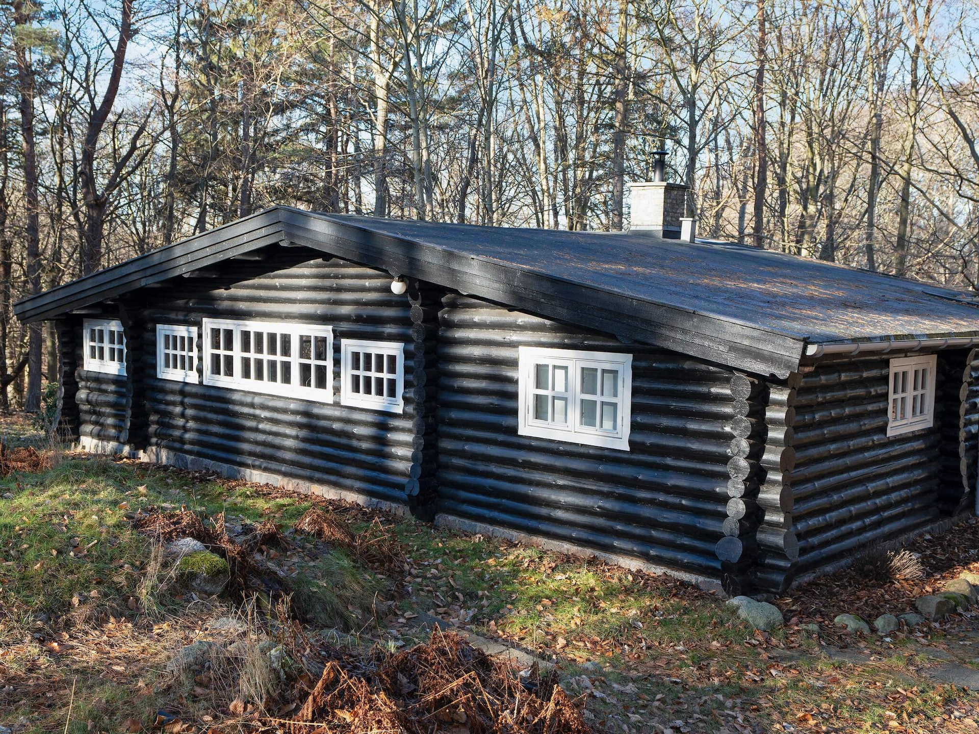 Rustiek vakantiehuis Bjælkely in het bos bij Frederiksværk - foto 1