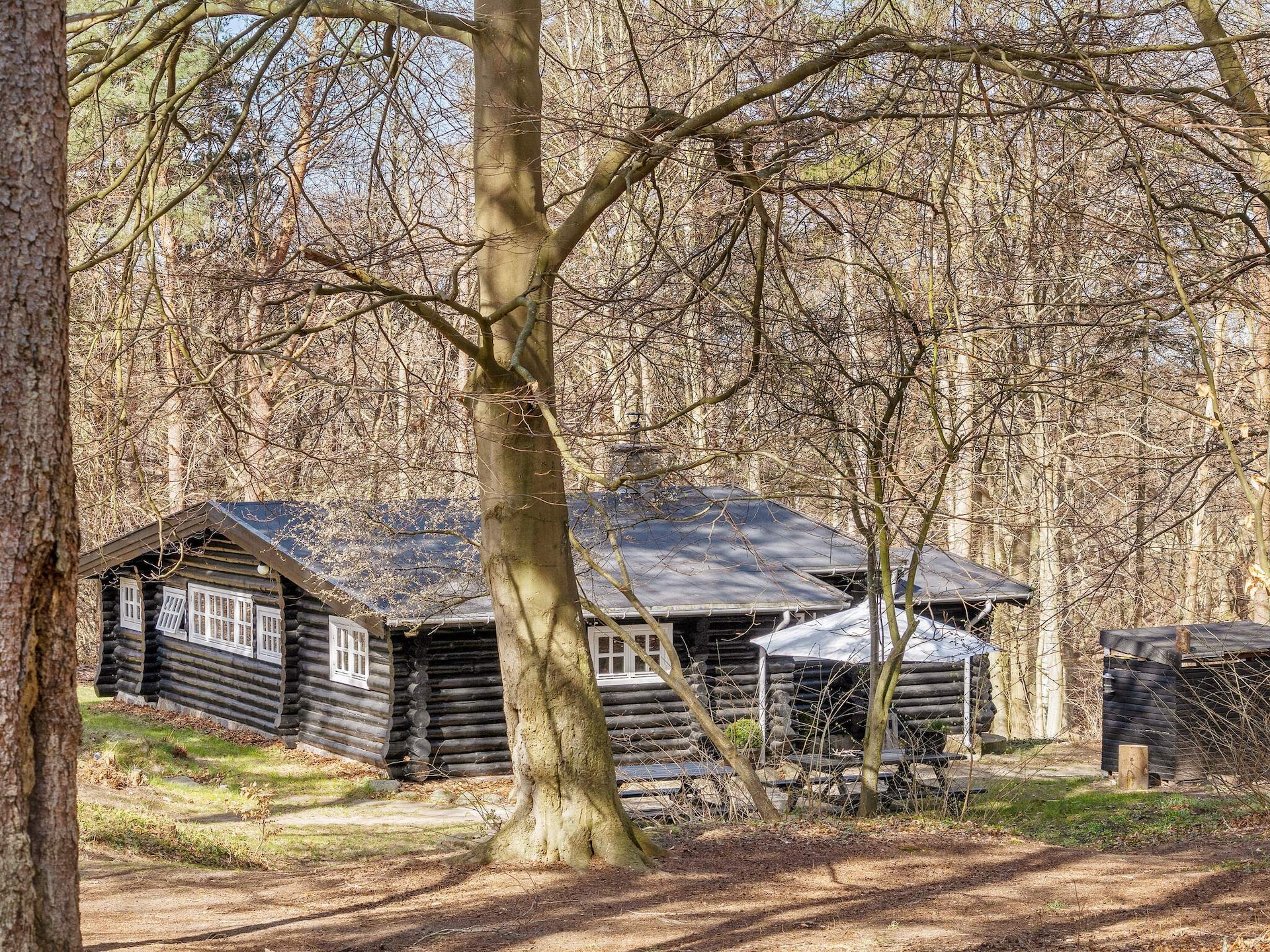 Rustiek vakantiehuis Bjælkely in het bos bij Frederiksværk - foto 48