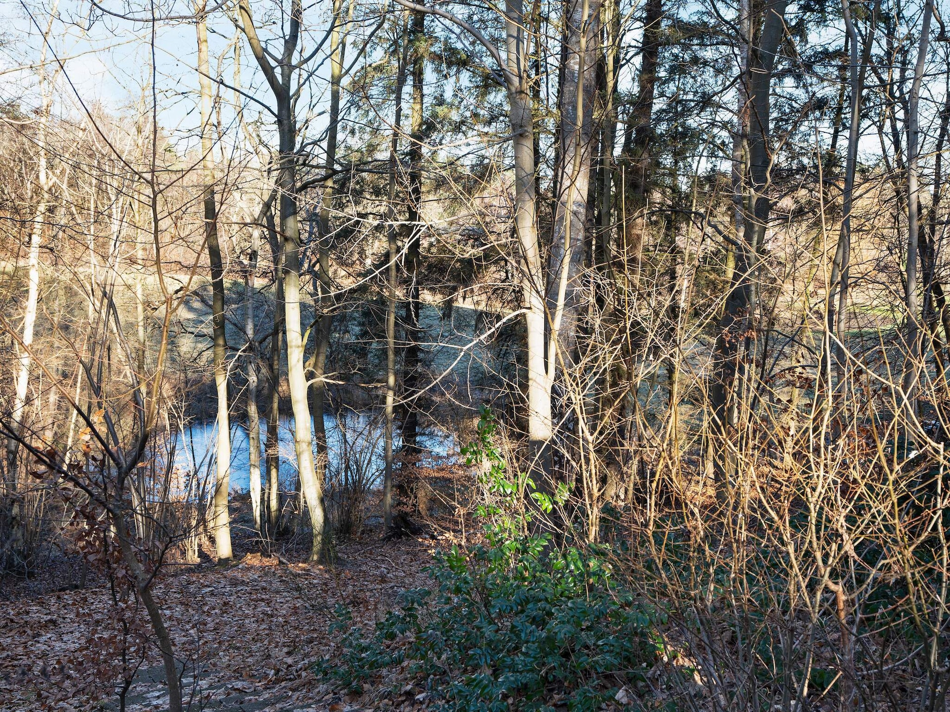Rustiek vakantiehuis Bjælkely in het bos bij Frederiksværk - foto 55