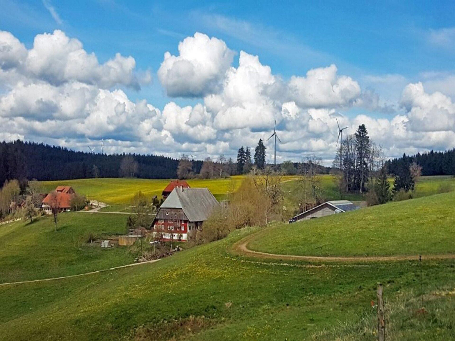 Ecologisch chalet midden in het Zwarte Woud bij golfbaan - foto 19