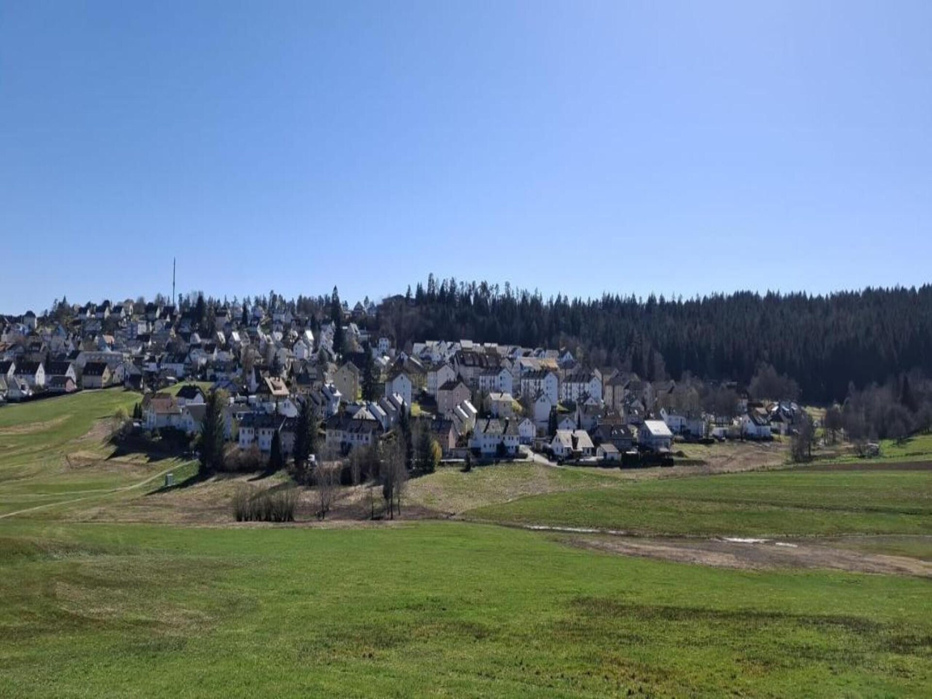 Ecologisch chalet midden in het Zwarte Woud bij golfbaan - foto 35