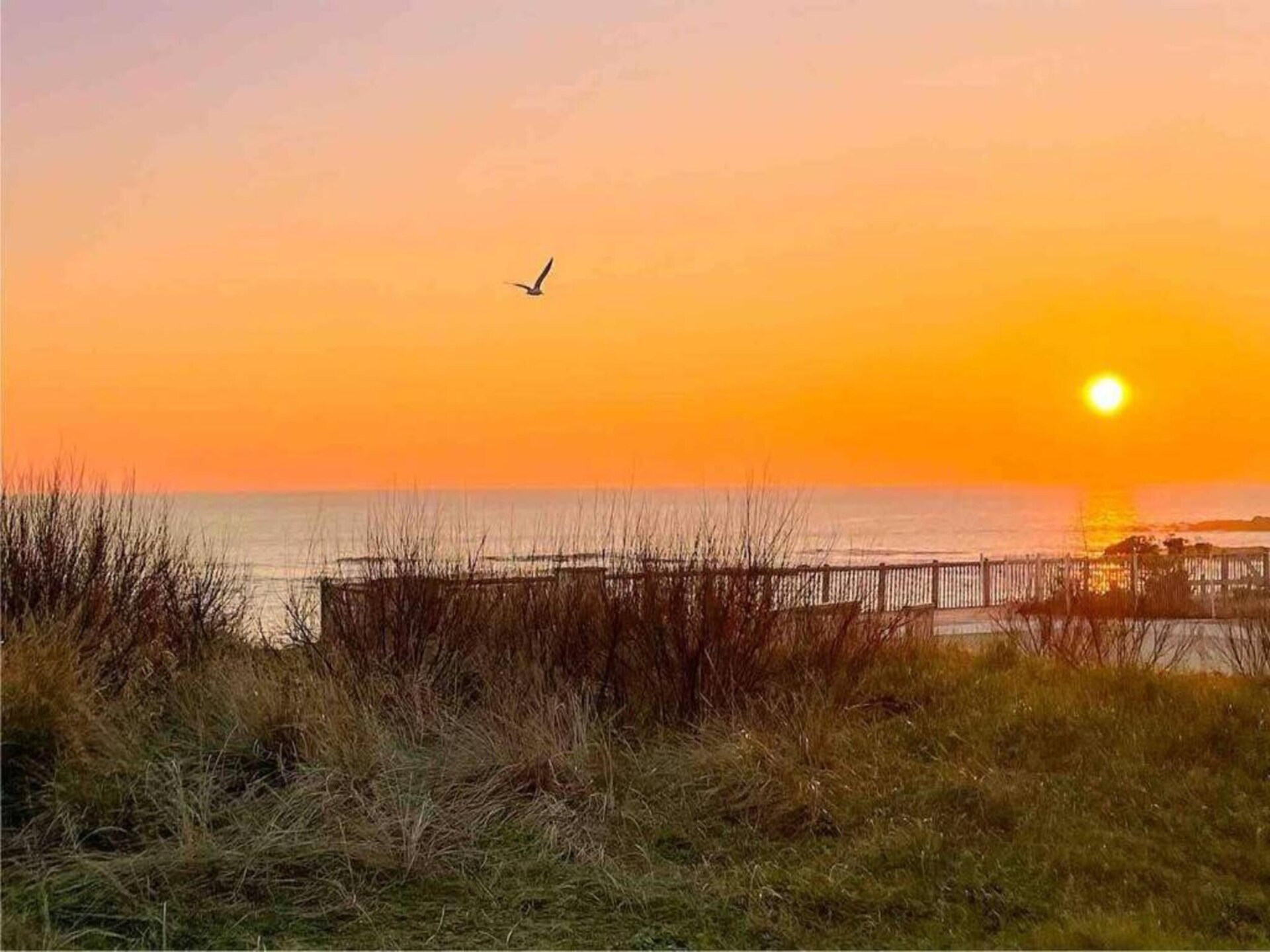 Appartement op Côte Sauvage bij La Baule, 6 personen, huisdieren welkom - foto 32