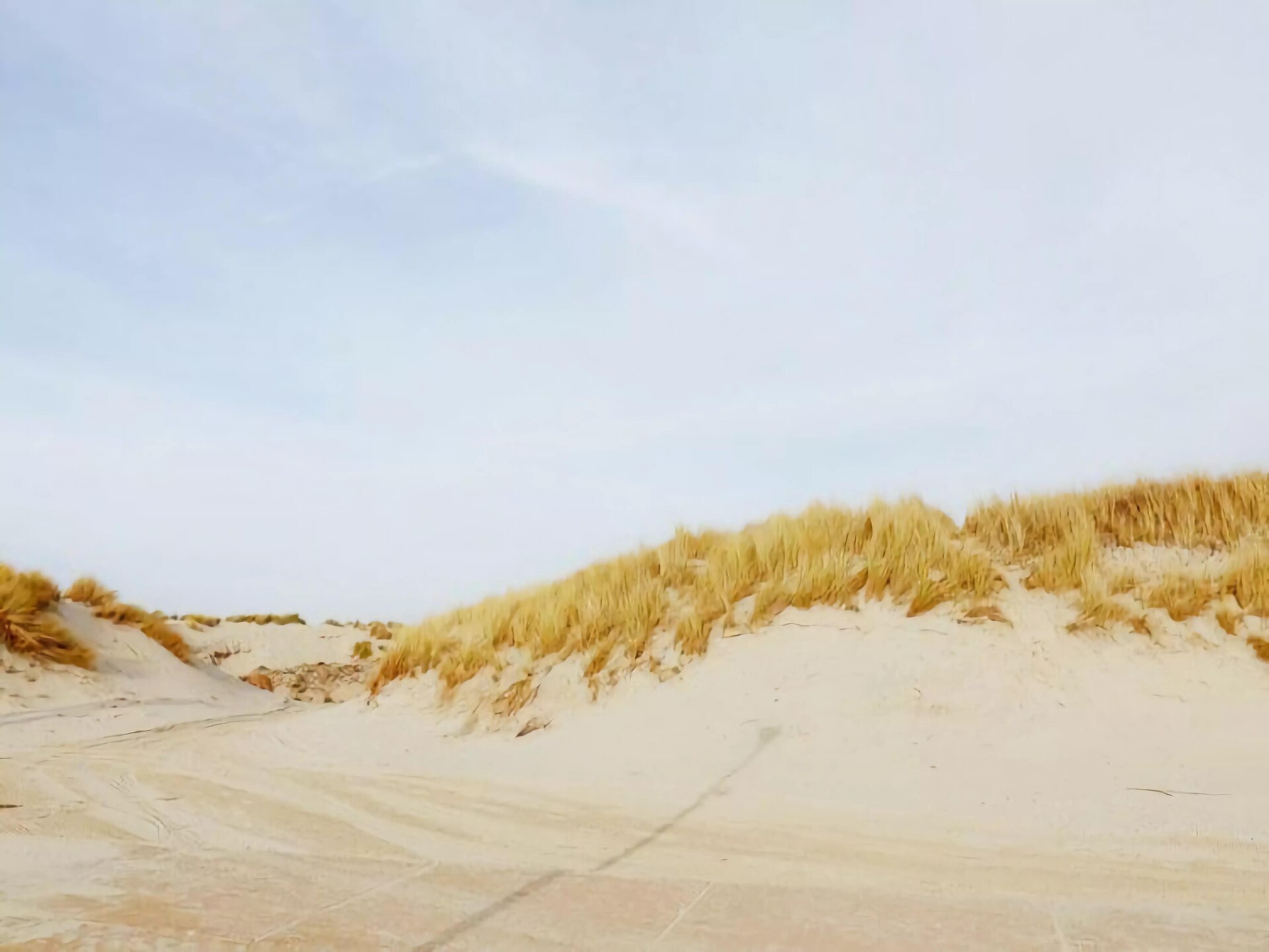 Duinchalet op Ameland: genieten tussen duinen, zee en golfbaan - foto 18