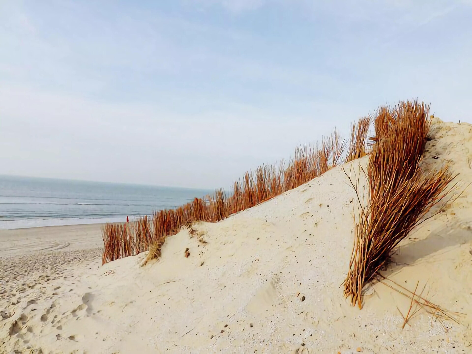 Duinchalet op Ameland: genieten tussen duinen, zee en golfbaan - foto 19