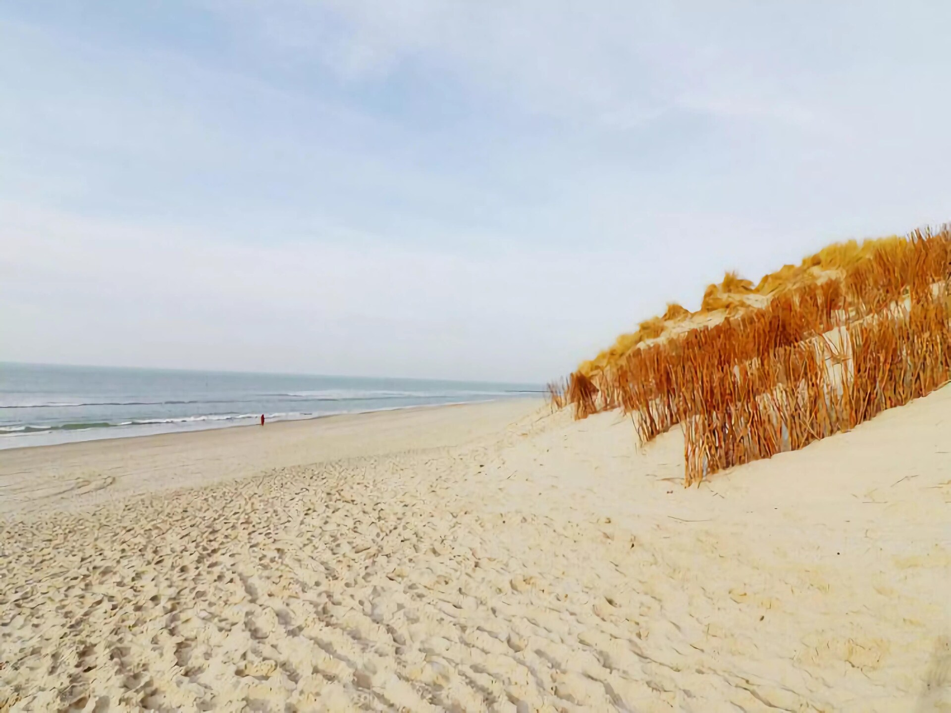 Duinchalet op Ameland: genieten tussen duinen, zee en golfbaan - foto 20