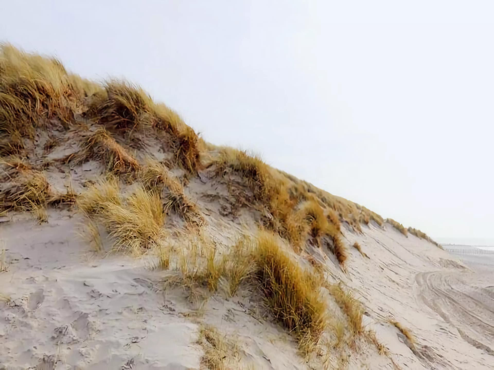 Duinchalet op Ameland: genieten tussen duinen, zee en golfbaan - foto 21