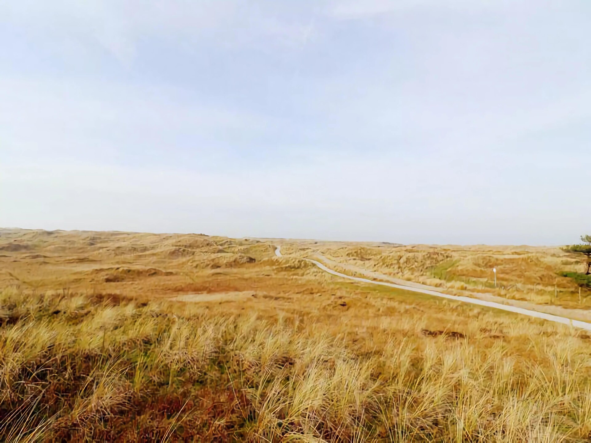 Duinchalet op Ameland: genieten tussen duinen, zee en golfbaan - foto 22