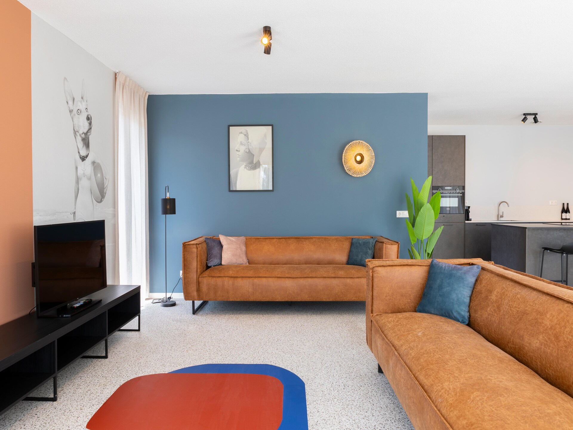 Resort Nieuwvliet-Bad 12: Luxe vakantiehuis voor 10 personen met huisdieren - foto 7