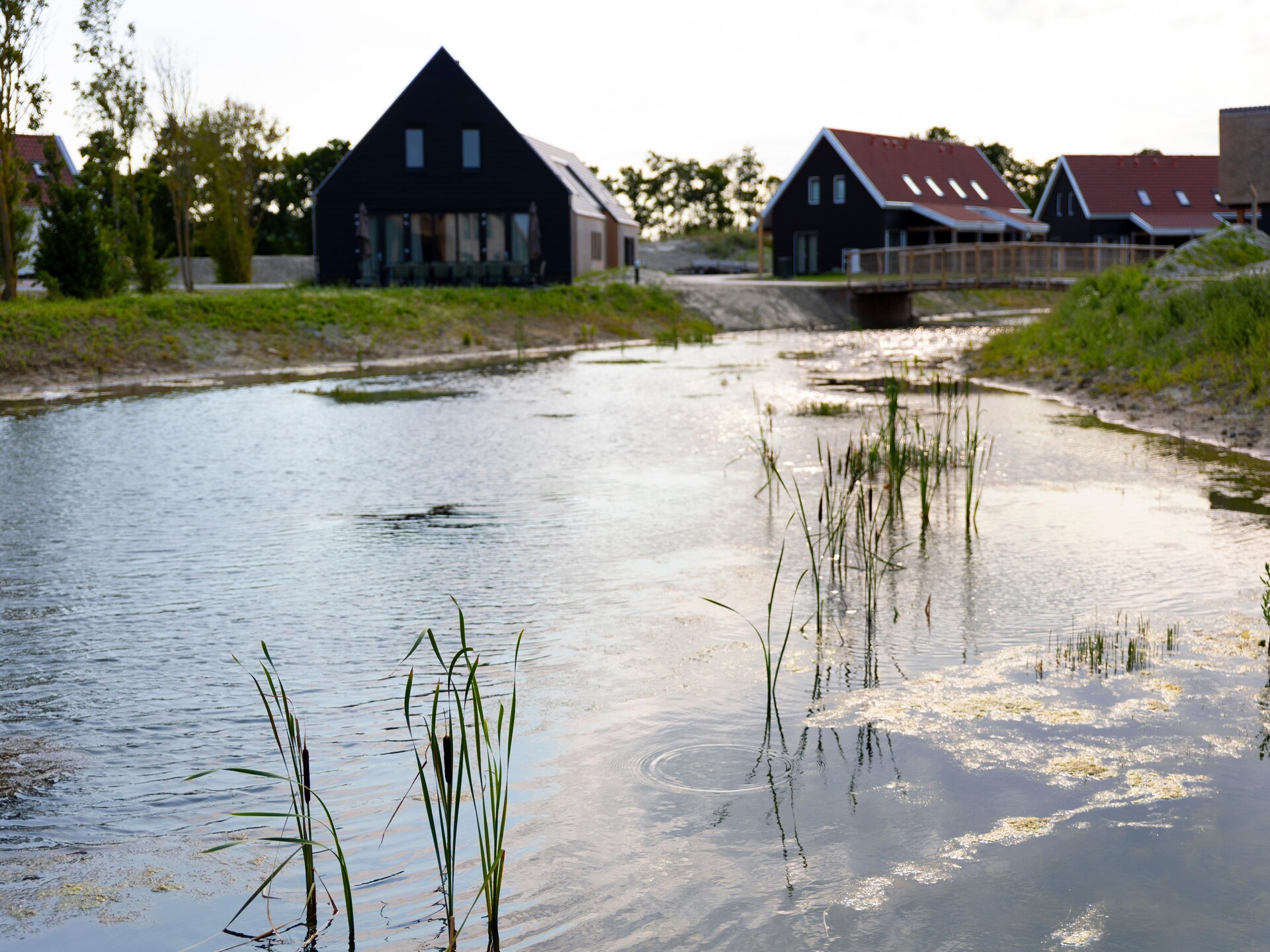 Luxe vakantievilla aan water in Resort Nieuwvliet-Bad, 1,2 km van zee - foto 6