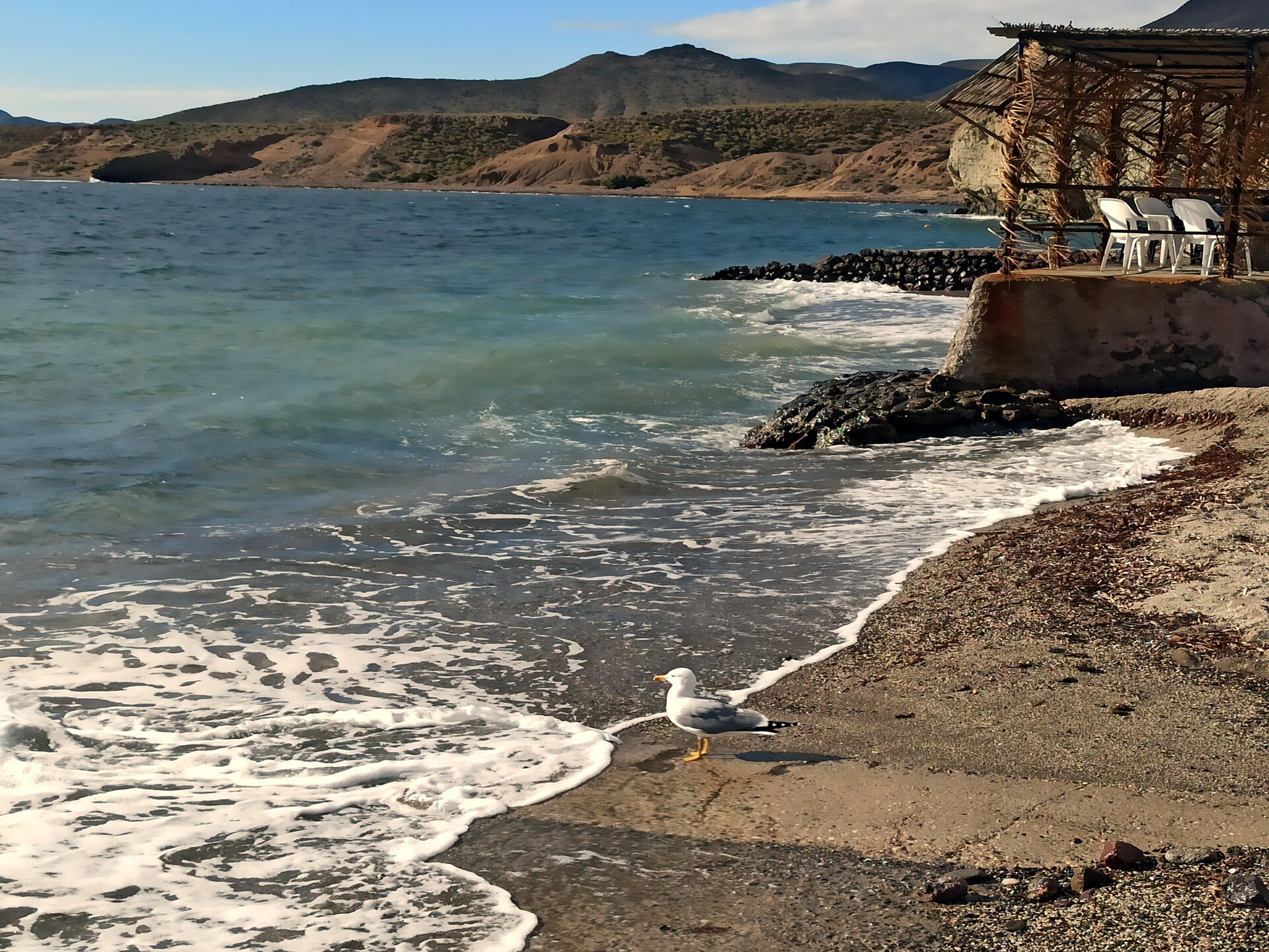 Rustiek appartement in natuurpark Cabo de Gata, 150m van het strand - foto 23