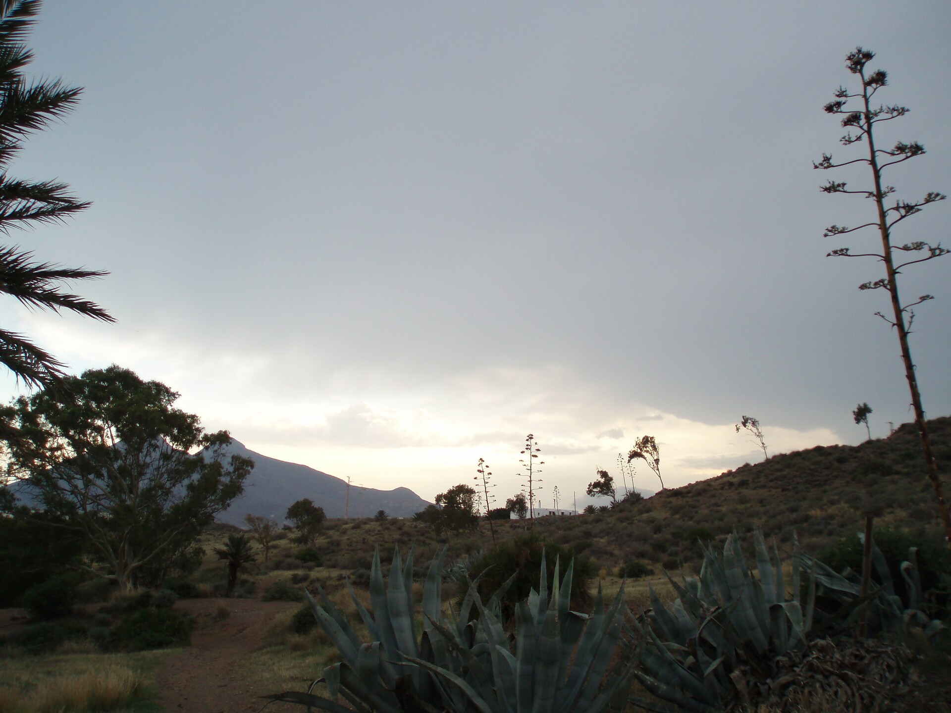 Rustiek appartement in natuurpark Cabo de Gata, 150m van het strand - foto 28