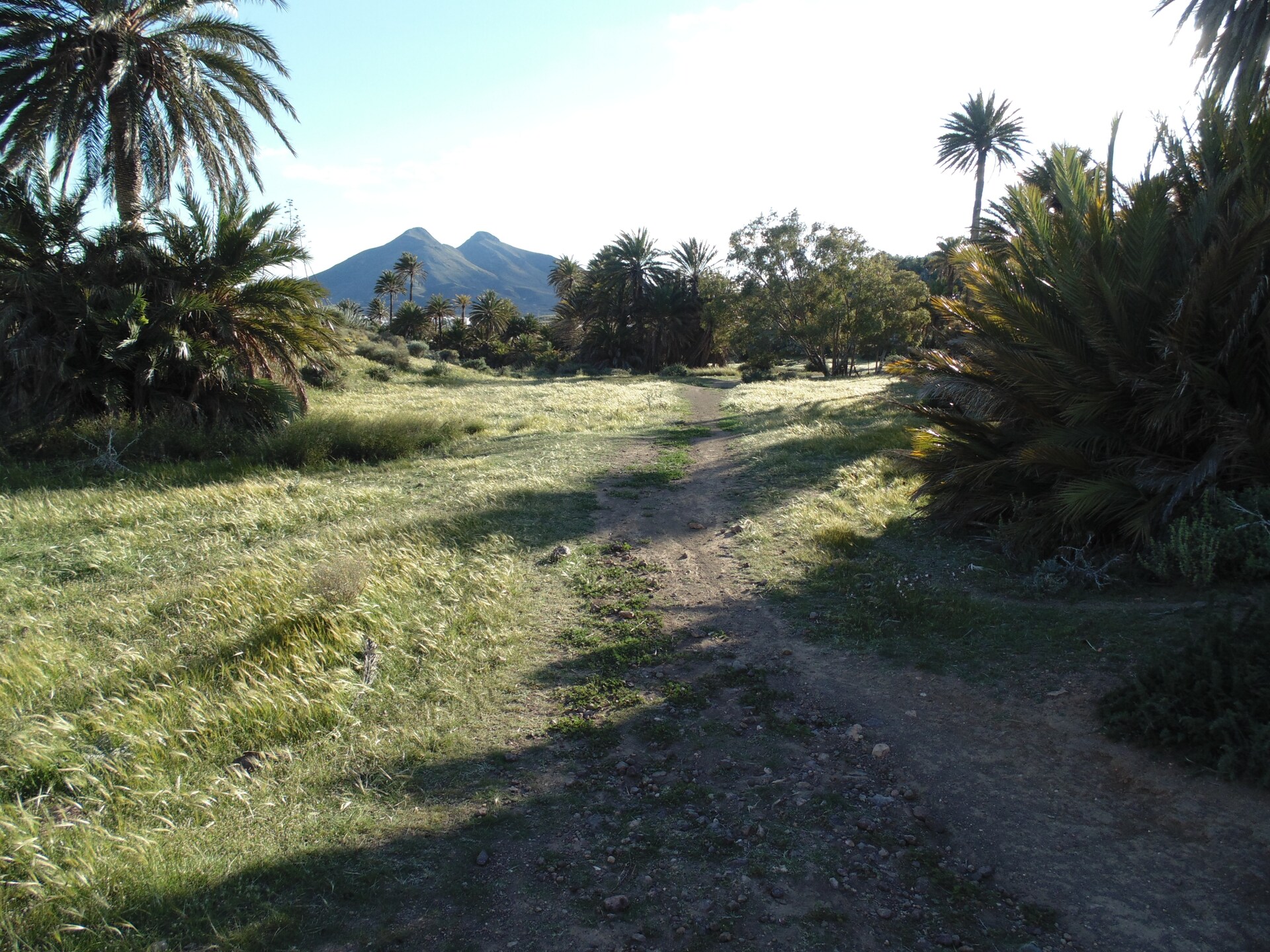 Rustiek appartement in natuurpark Cabo de Gata, 150m van het strand - foto 26