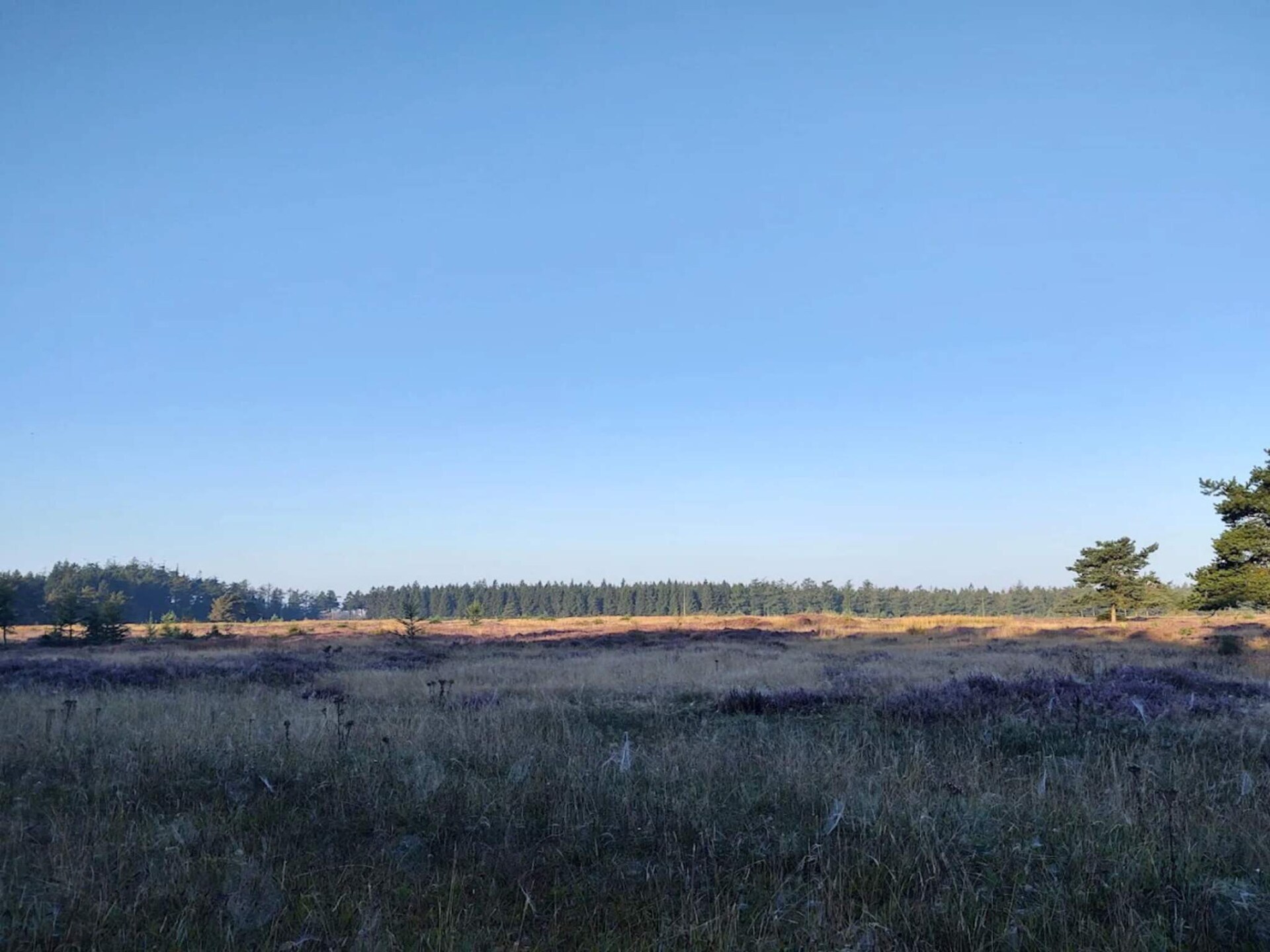 Centraal gelegen vakantiehuis in Hovborg voor 6 personen - foto 11