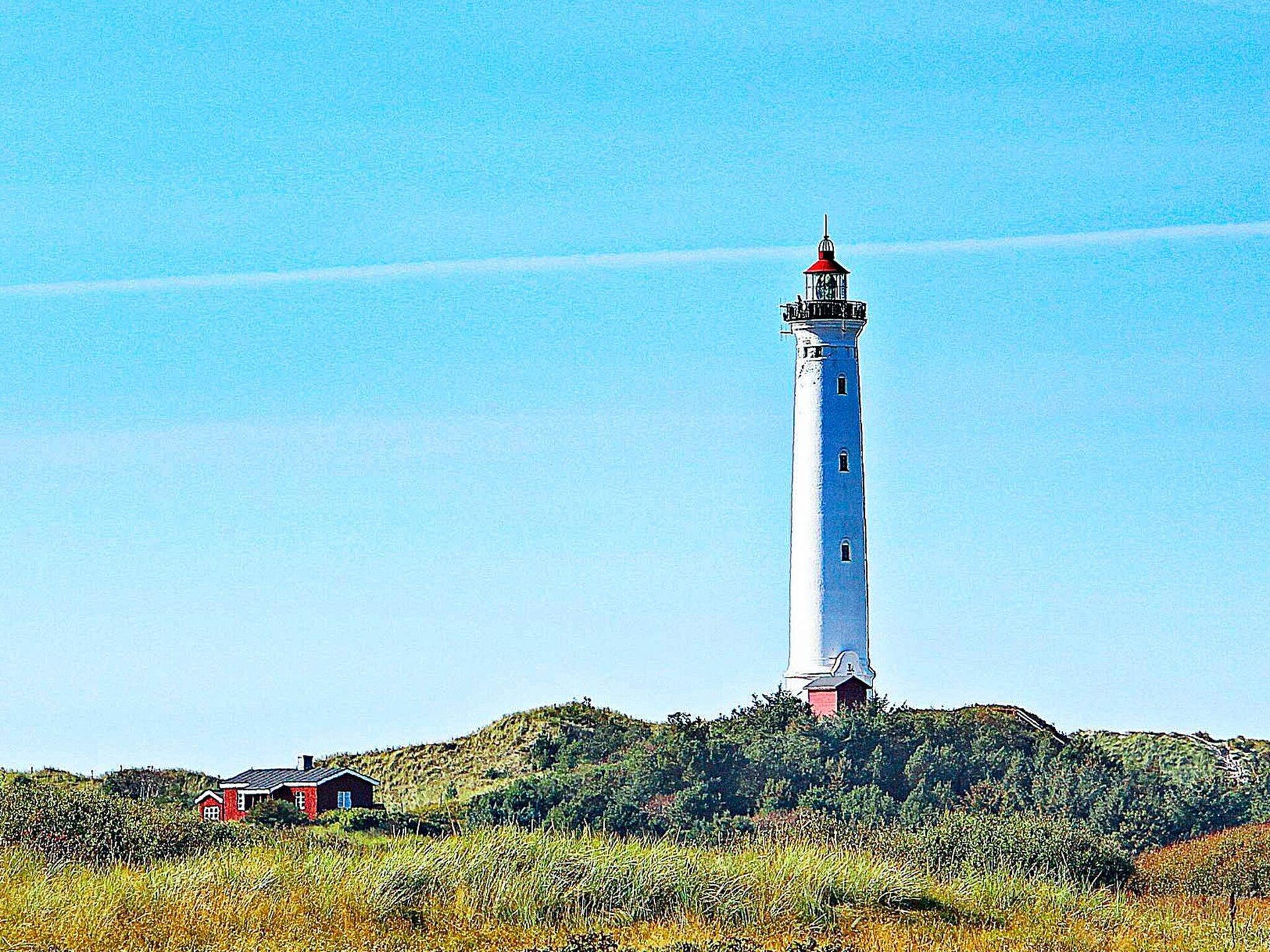 Vrijstaand vakantiehuis op natuurperceel bij Hvide Sande, vlakbij zee en golf - foto 5