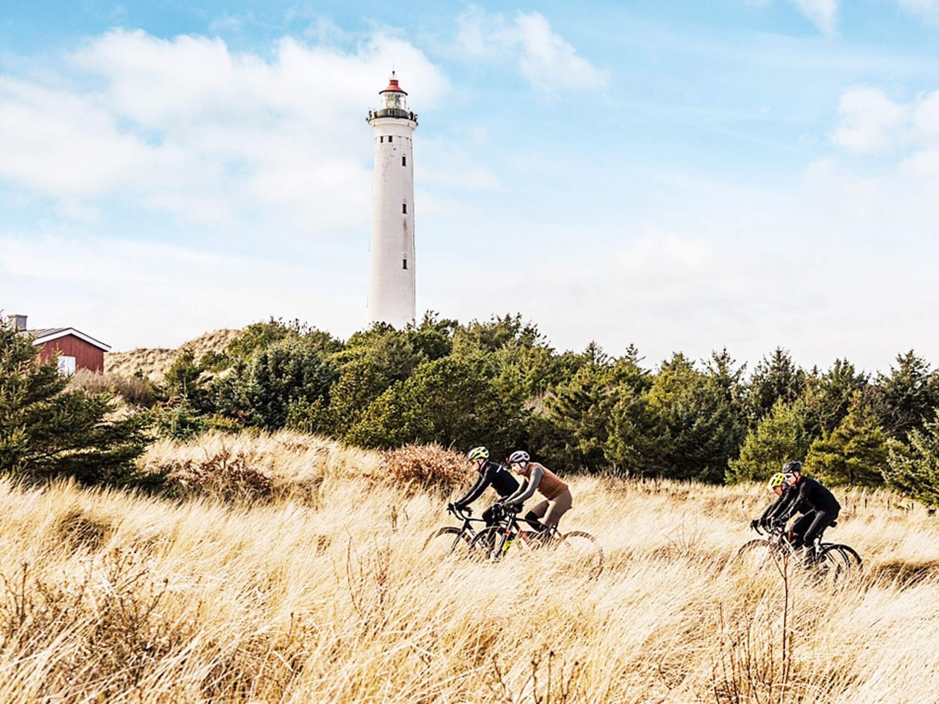 Vrijstaand vakantiehuis op natuurperceel bij Hvide Sande, vlakbij zee en golf - foto 15