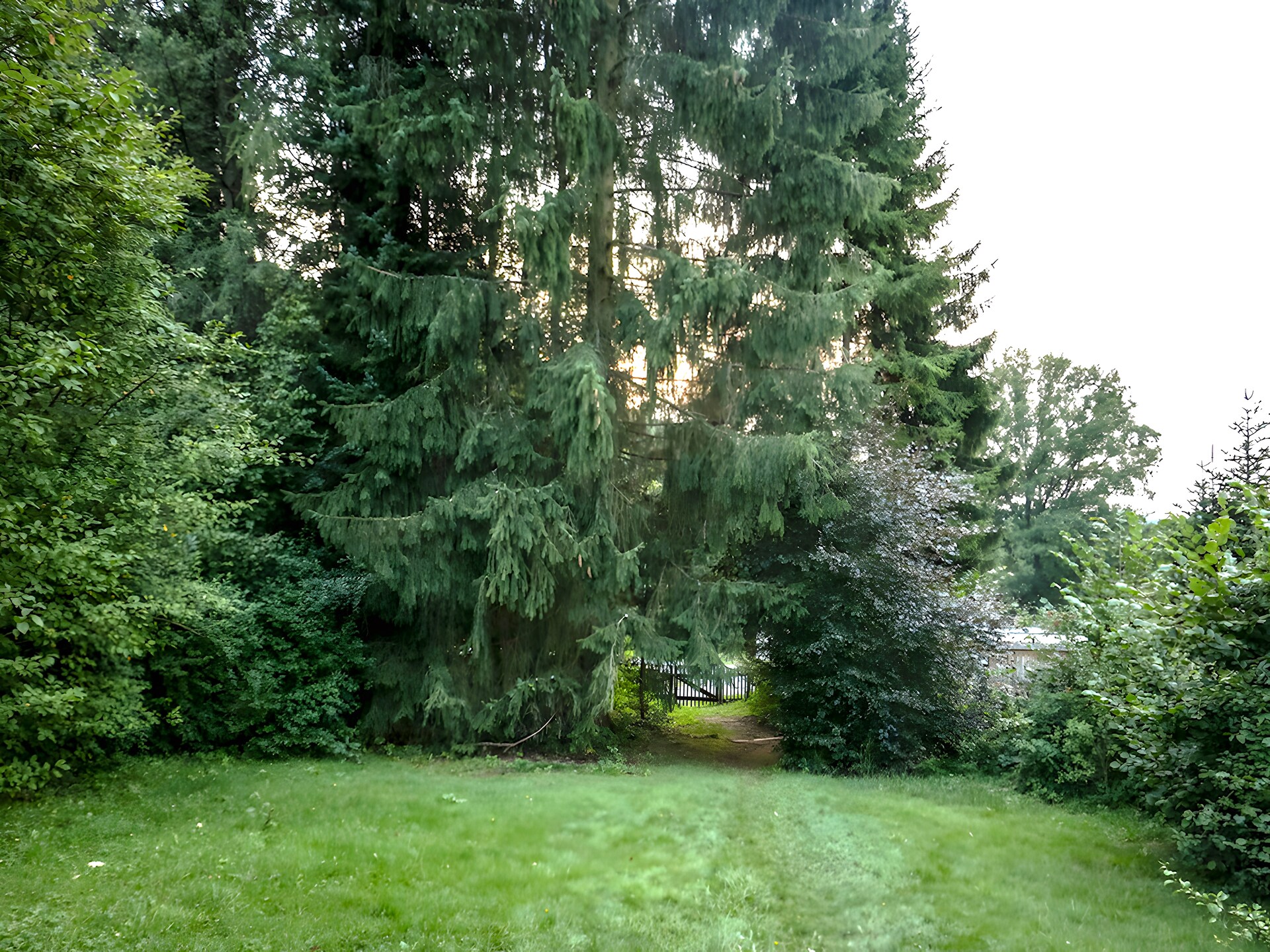 Stijlvol vrijstaand huis in Oberhundem voor 6 personen met tuin - foto 30
