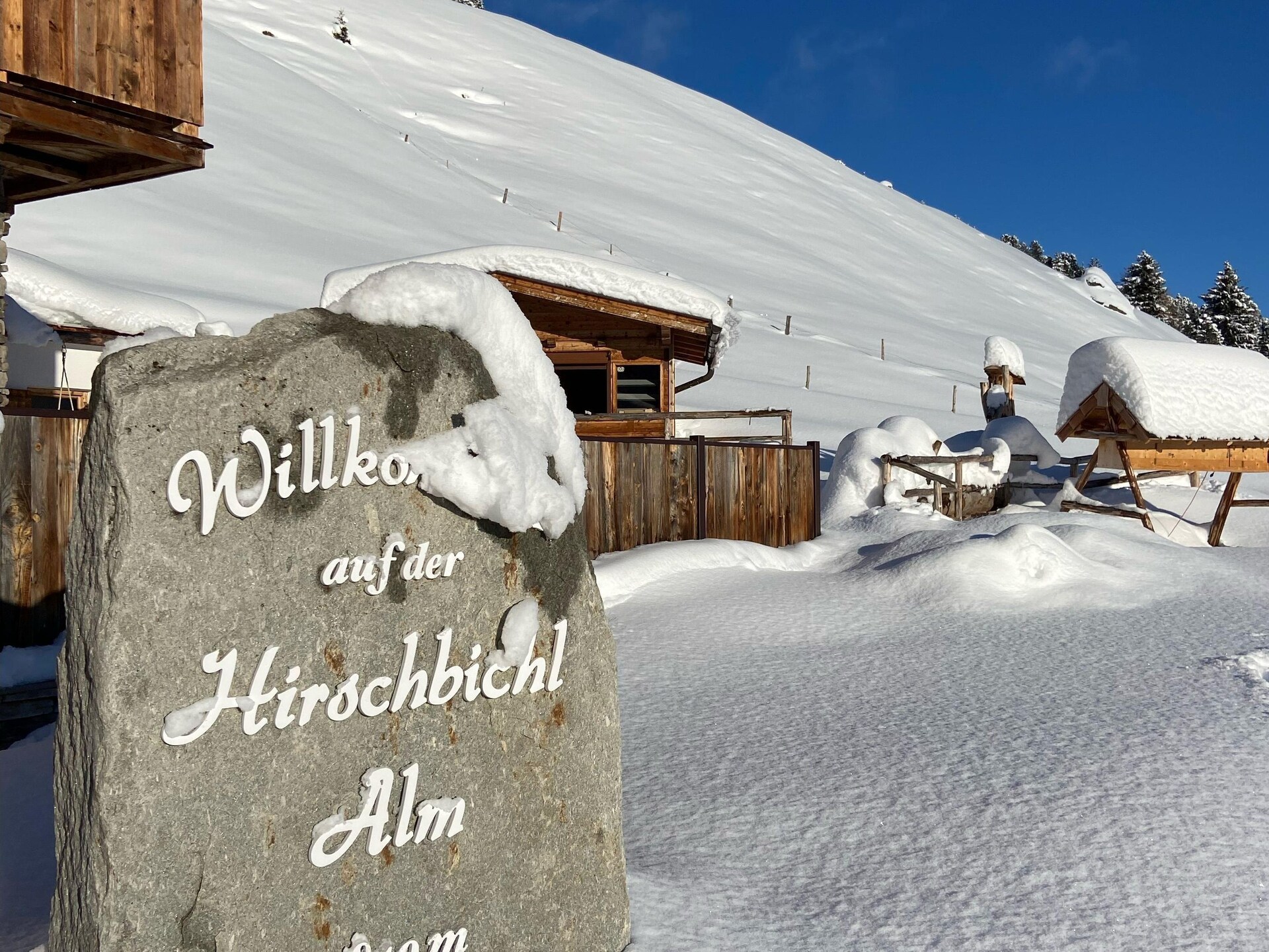 Vakantiehuis in Zellberg: rust en bergzicht op 1850 meter hoogte - foto 34
