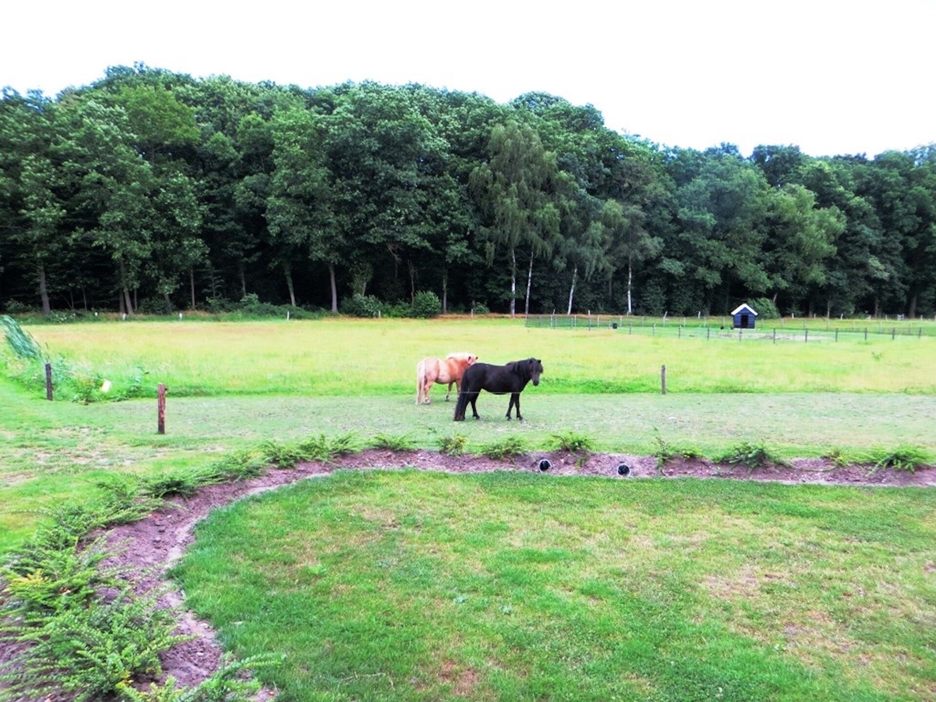 Familieboerderij in Twente met hot tub en Finse kota voor 14 personen - foto 21