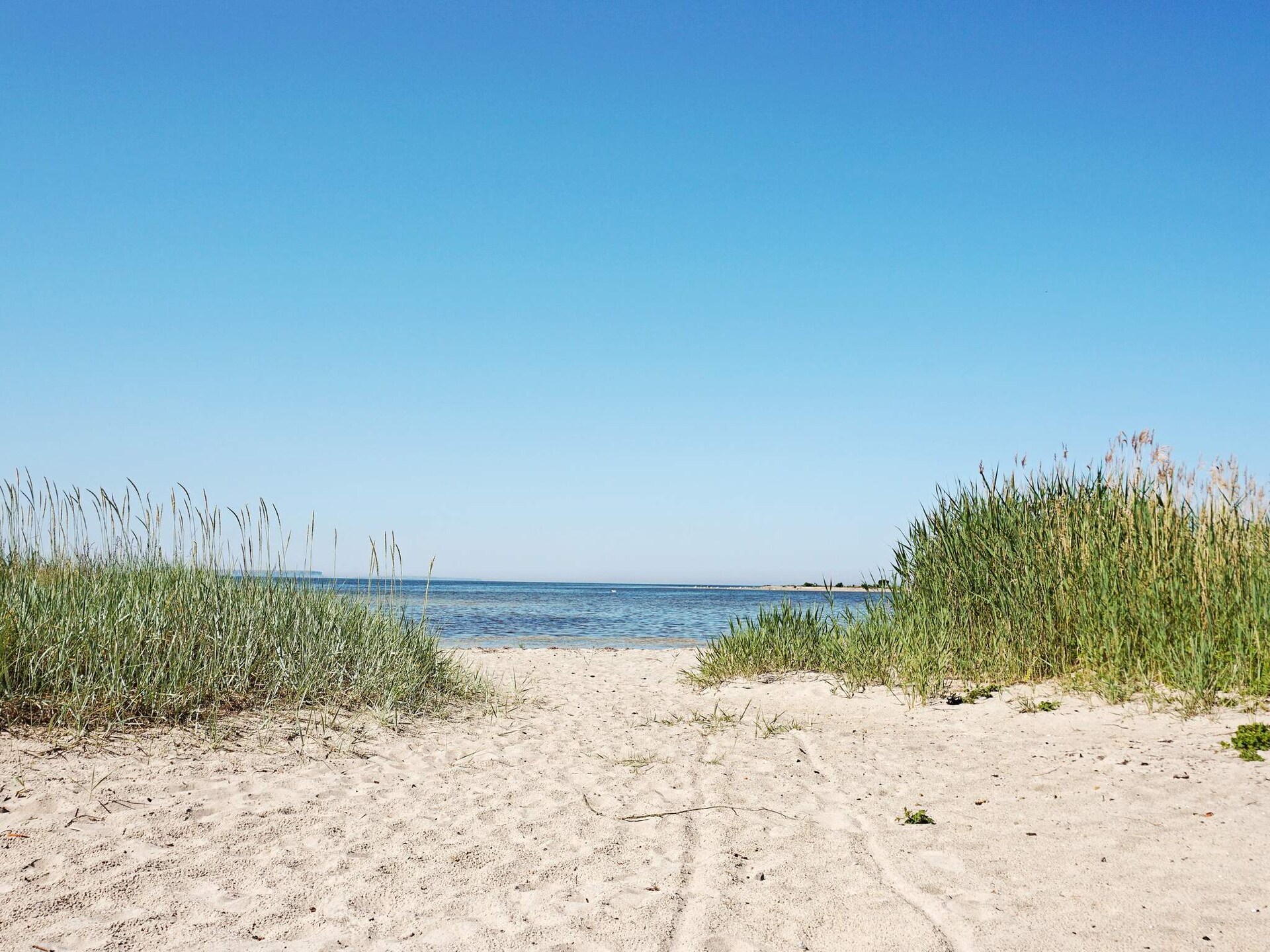 6-persoons vakantiehuis in Tofta, Gotland op 600m van zee - foto 18