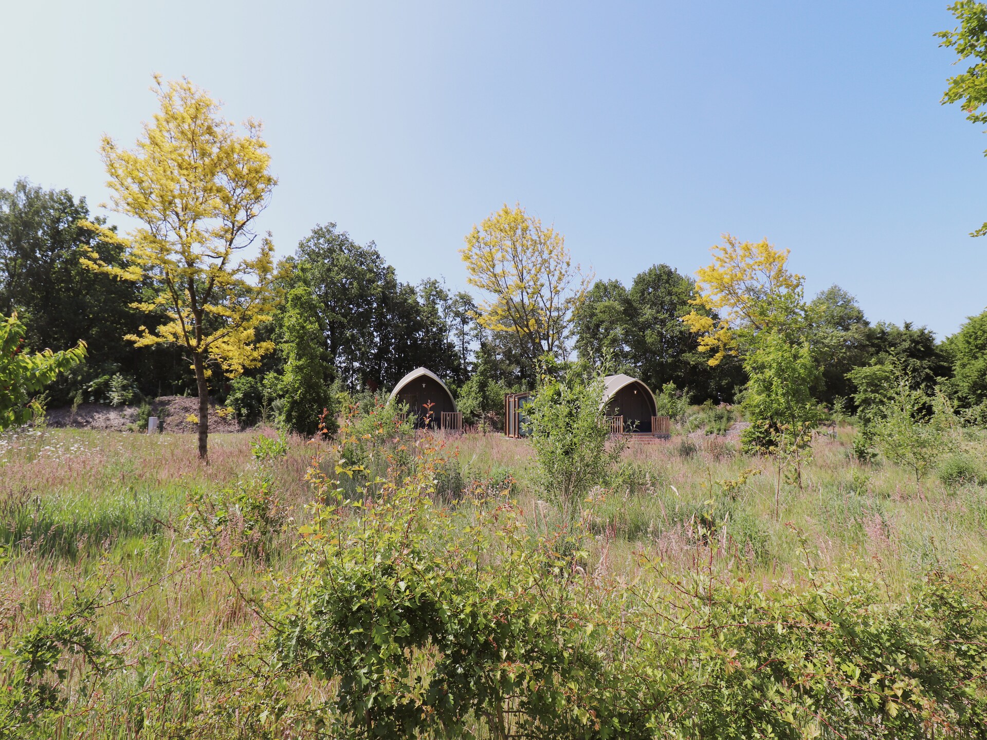 Wellness en luxe glamping in Tentlodge Fazant in Dalerveen - foto 22