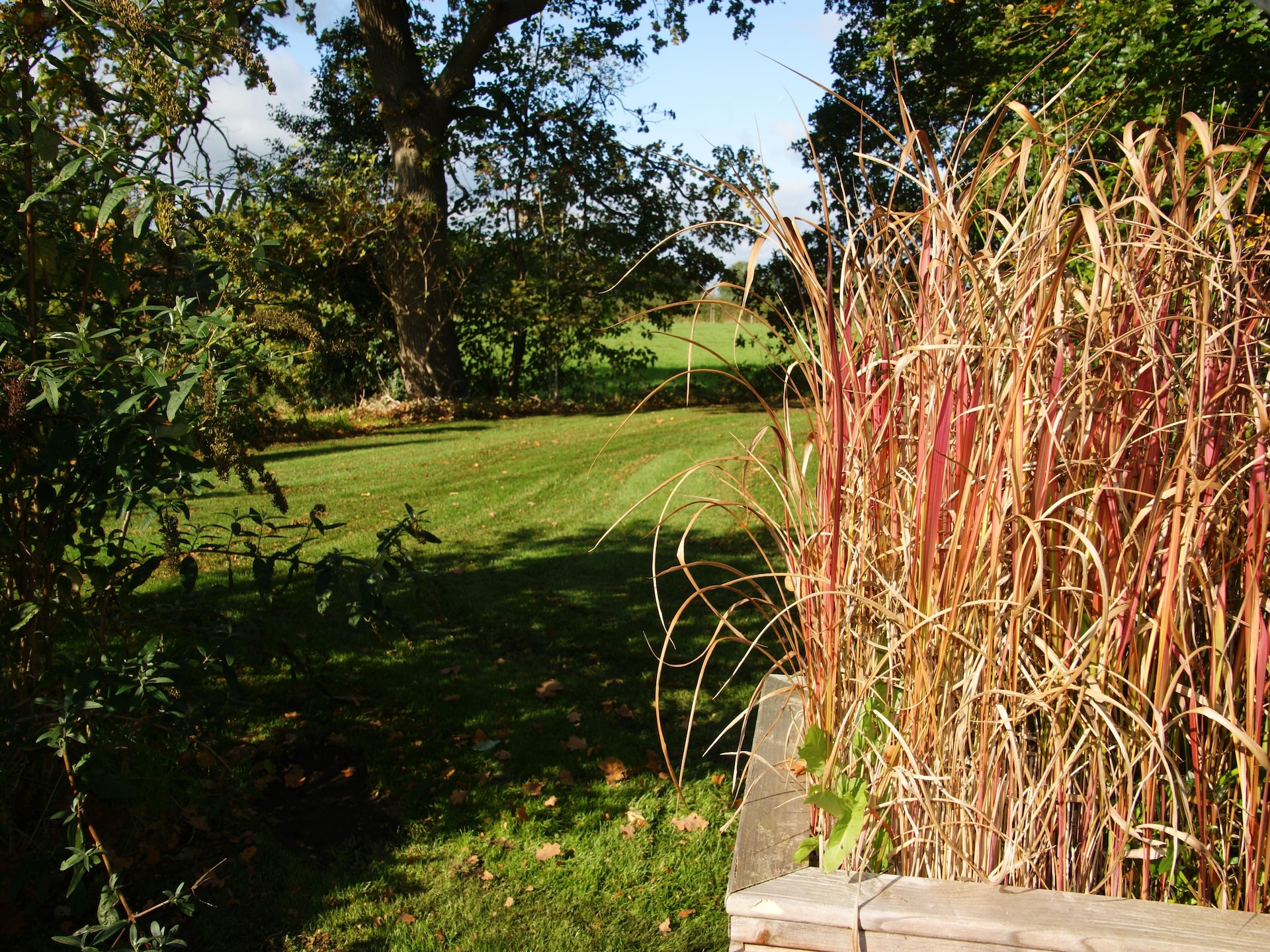 Wellness en luxe glamping in Tentlodge Fazant in Dalerveen - foto 32