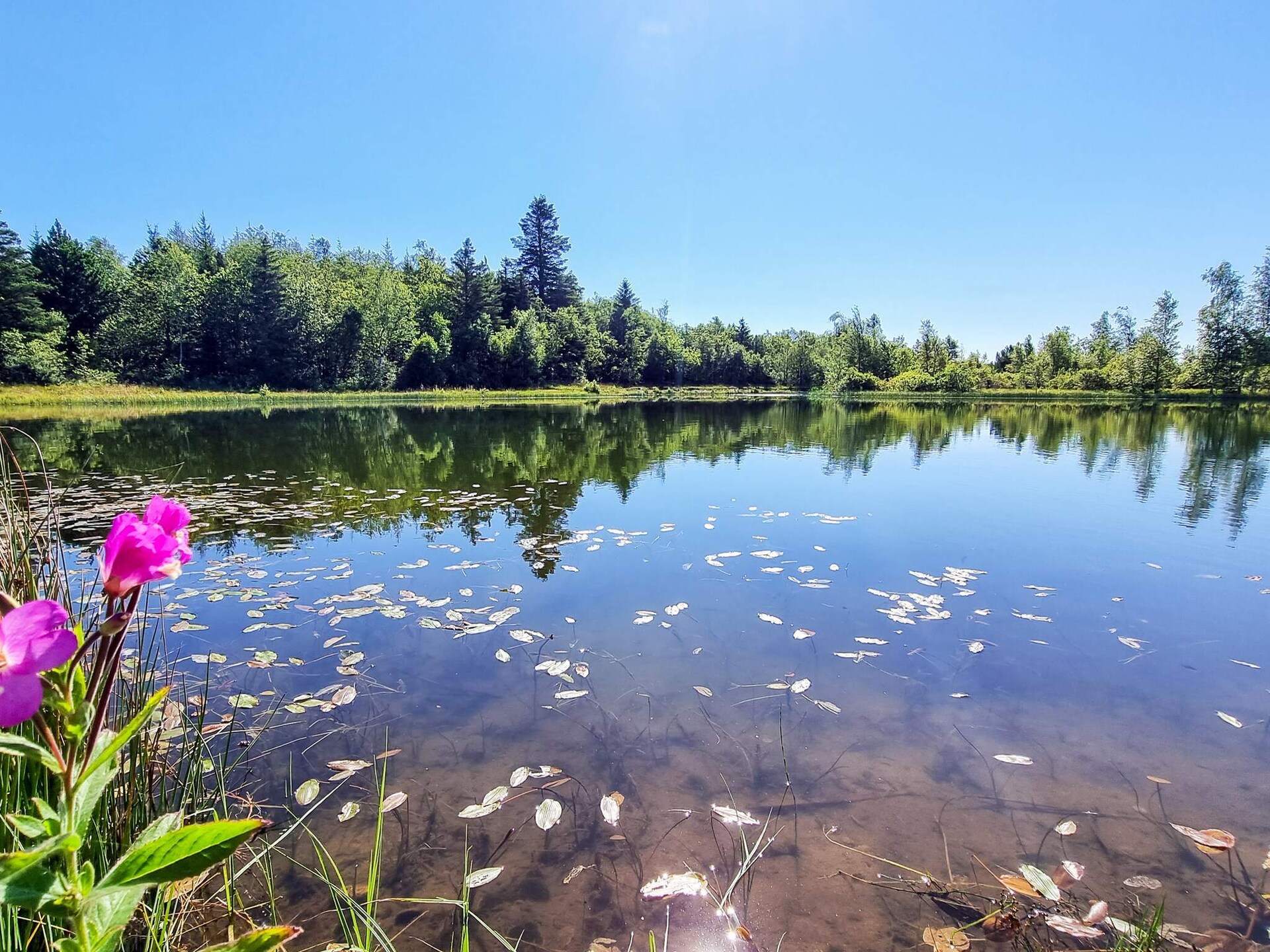 Ruim vakantiehuis in Vemb met privé whirlpool en natuur - foto 6