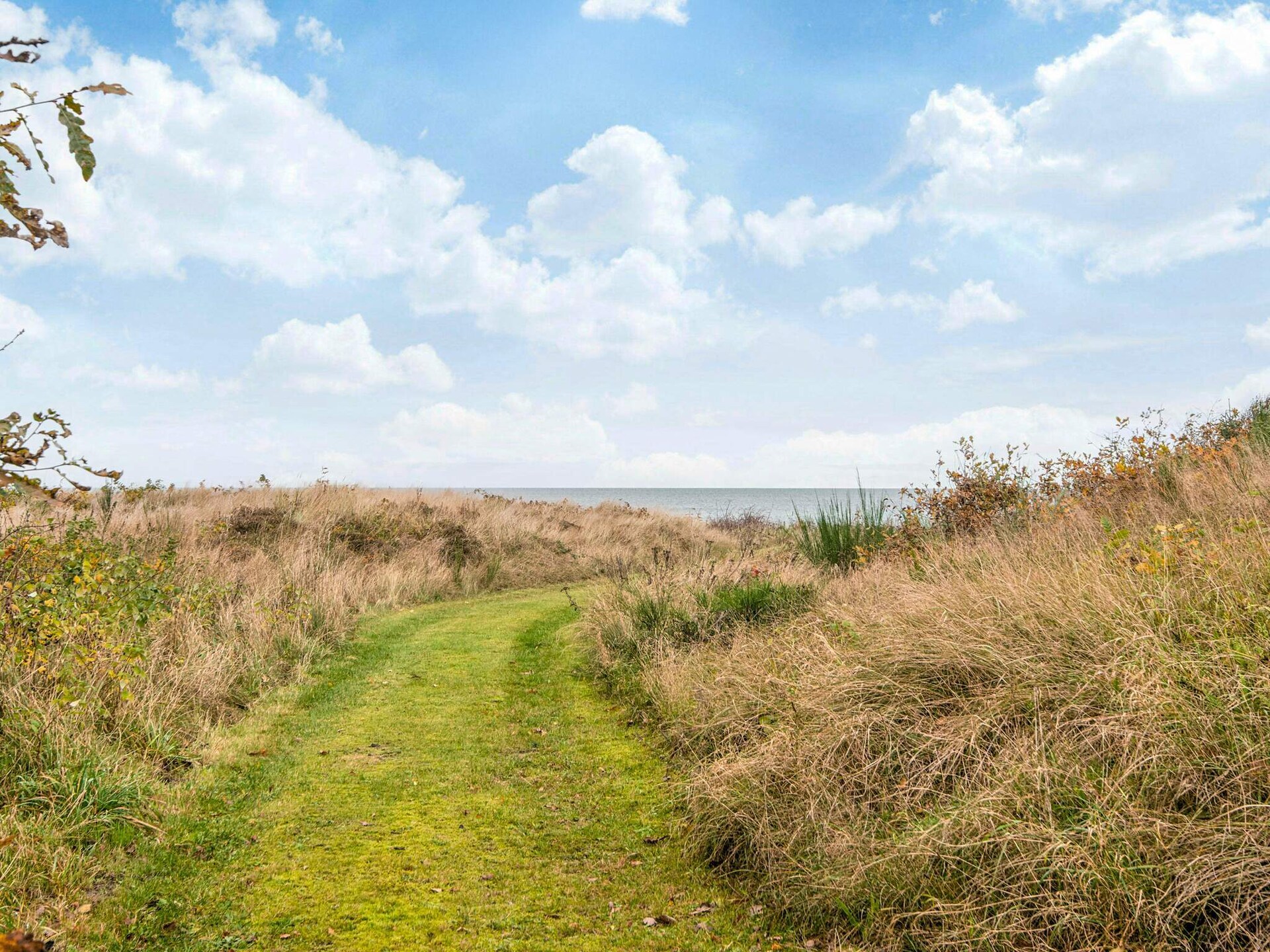Gerenoveerd duinhuis op 110 meter van zee met panoramisch uitzicht op Kattegat - foto 6