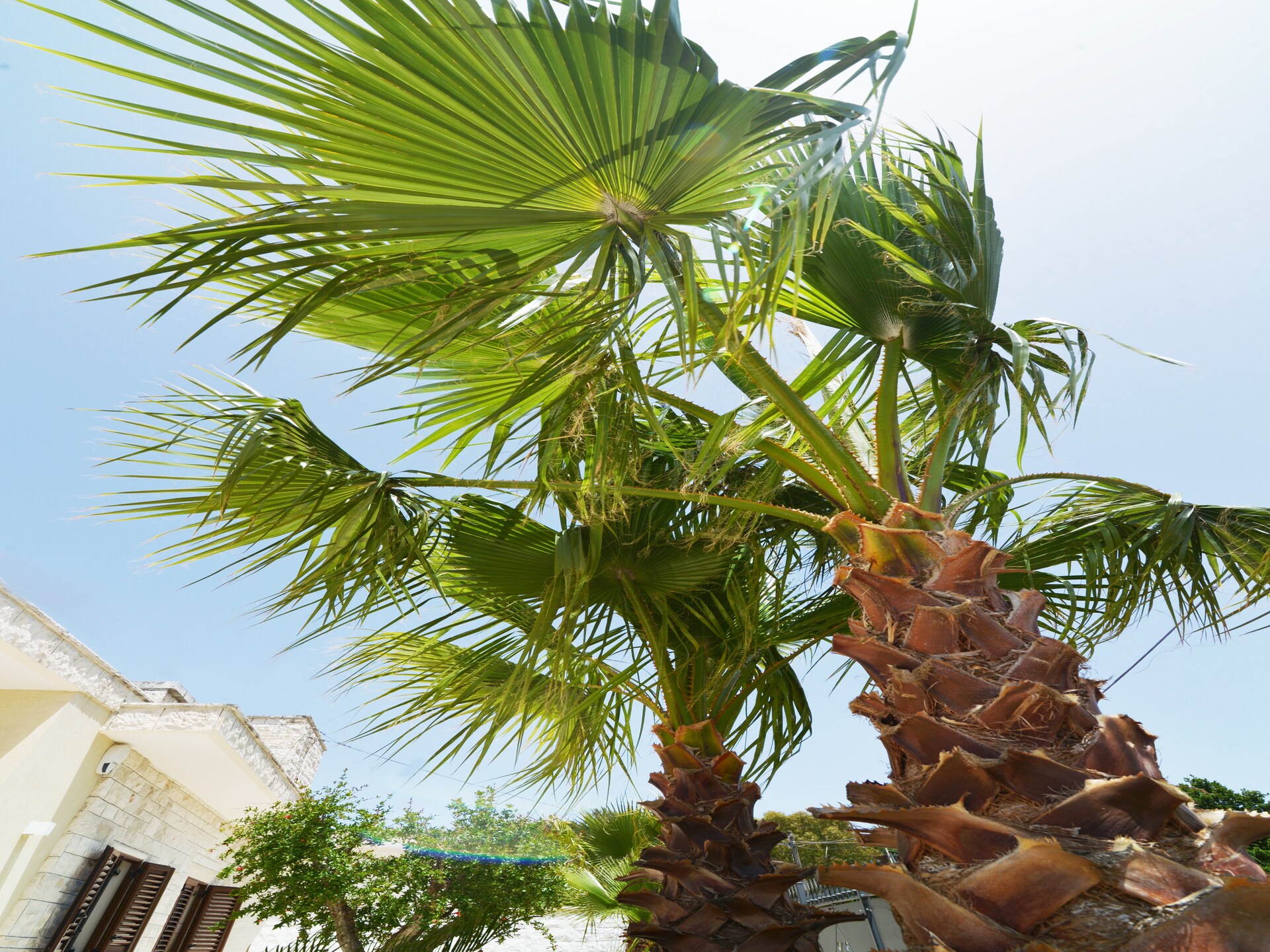 Luxe villa met zwembad en pizzaoven in Locorotondo, Apulië - foto 38