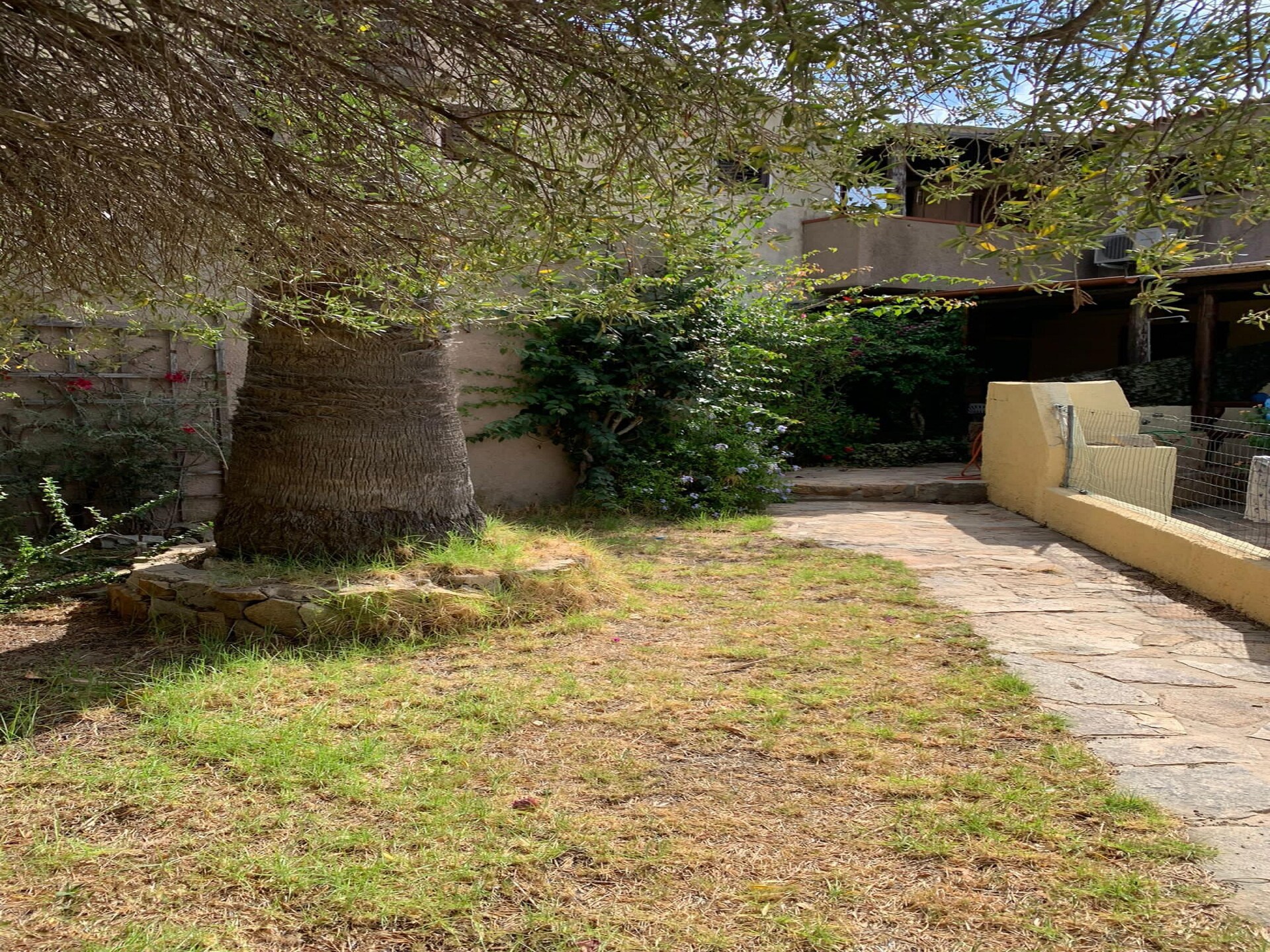 Trilocale il Pino: Ruim appartement op 300m van het strand van Porto Pollo - foto 12