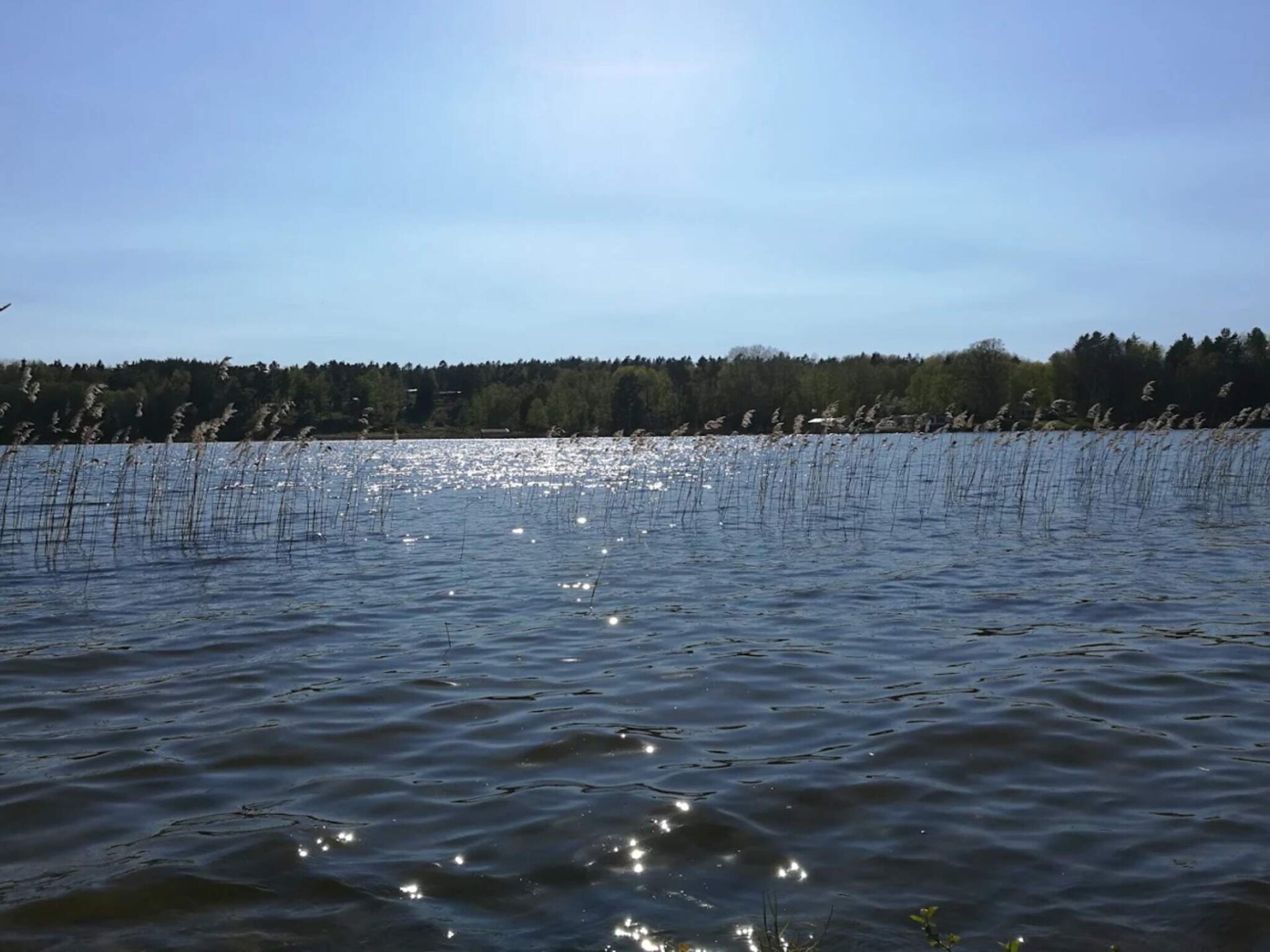 Vrijstaand vakantiehuis aan meer Järnlunden met privéstrand en roeiboot - foto 31