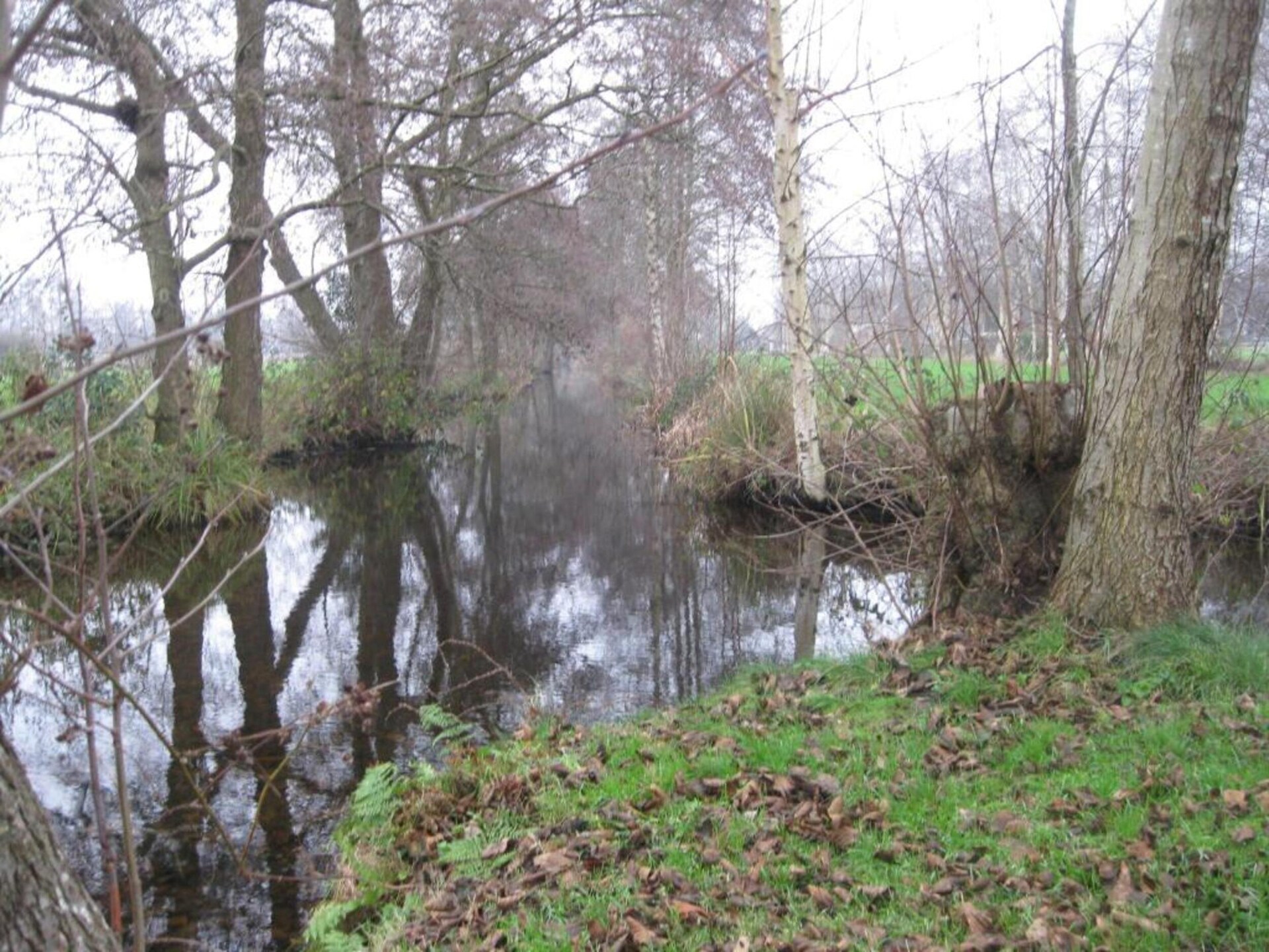 Op 1,0 km van centrum: sfeervol vakantiehuis in Giethoorn - foto 22