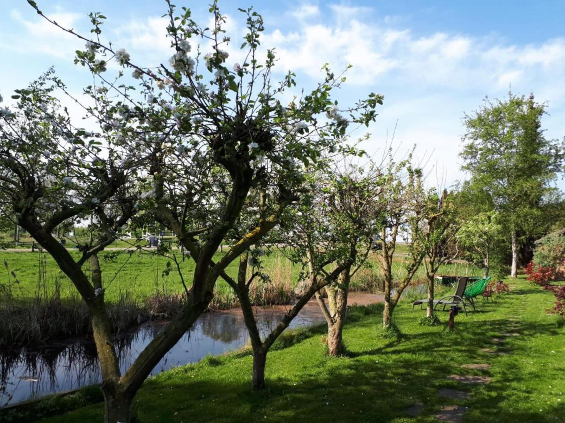 Op 1,0 km van centrum: sfeervol vakantiehuis in Giethoorn - foto 23