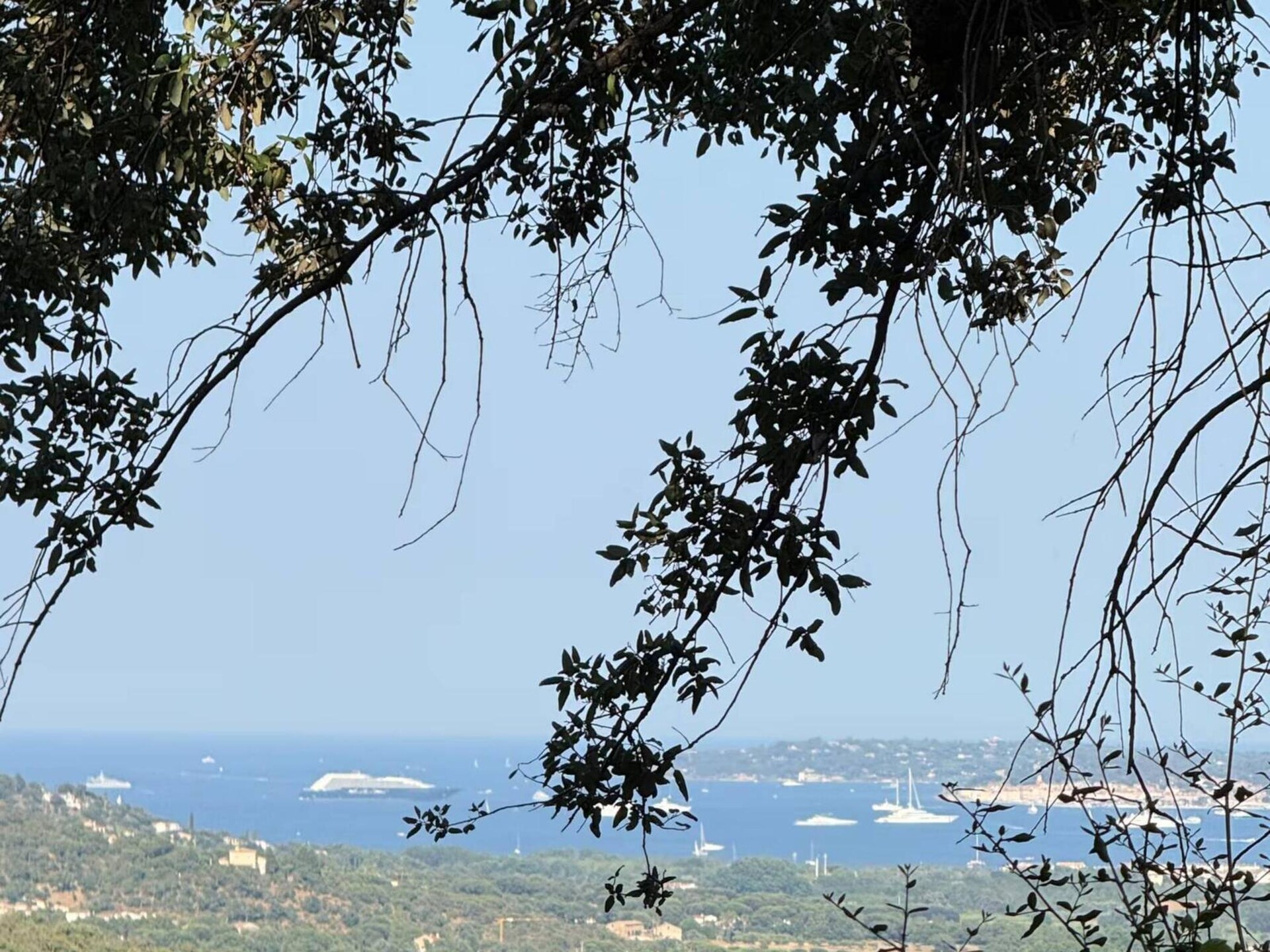 LA COLLE DU TURC - foto 25