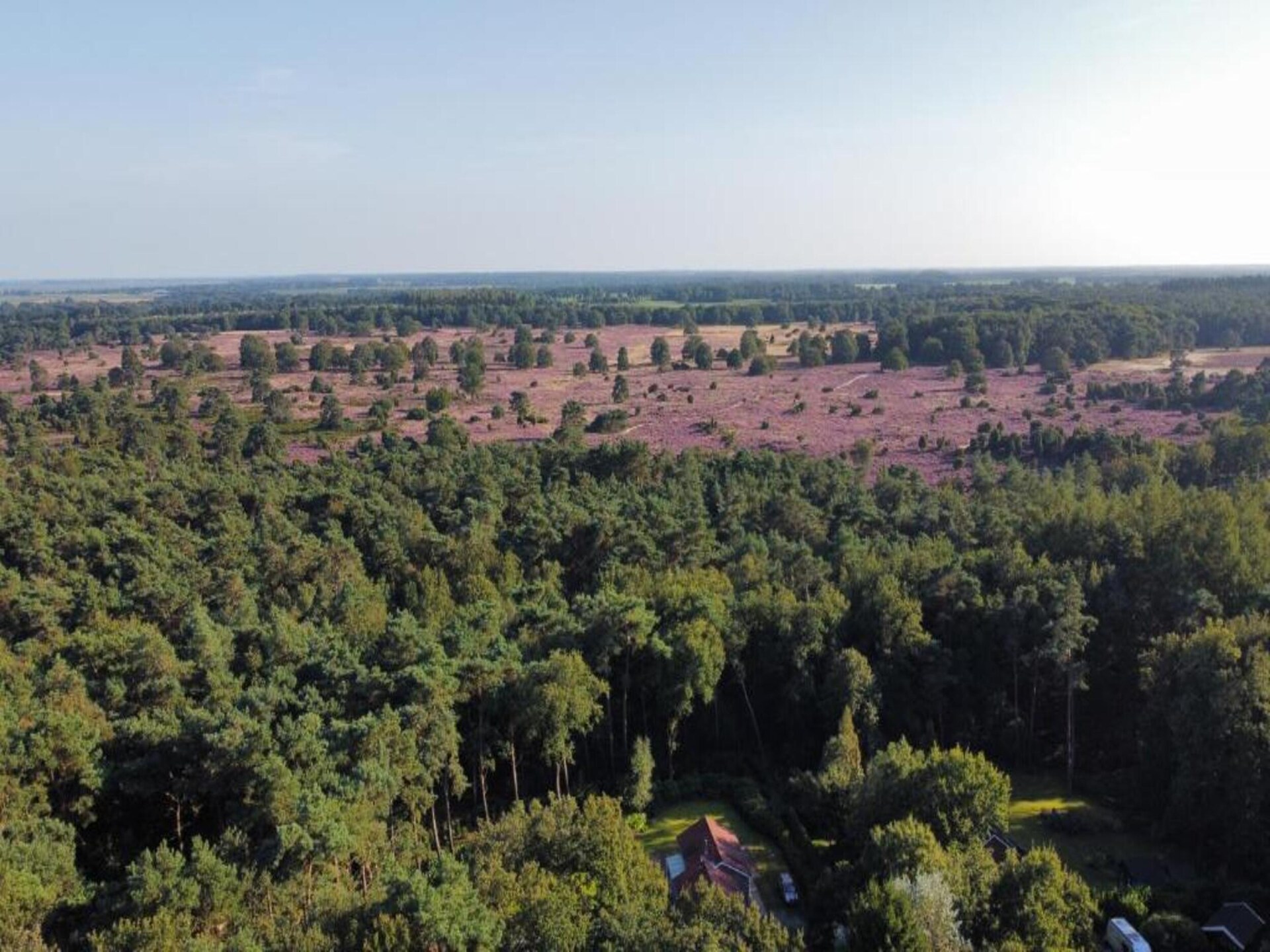Safaritent met dakterras op autoluw glamping resort Lauwersmeer - foto 23