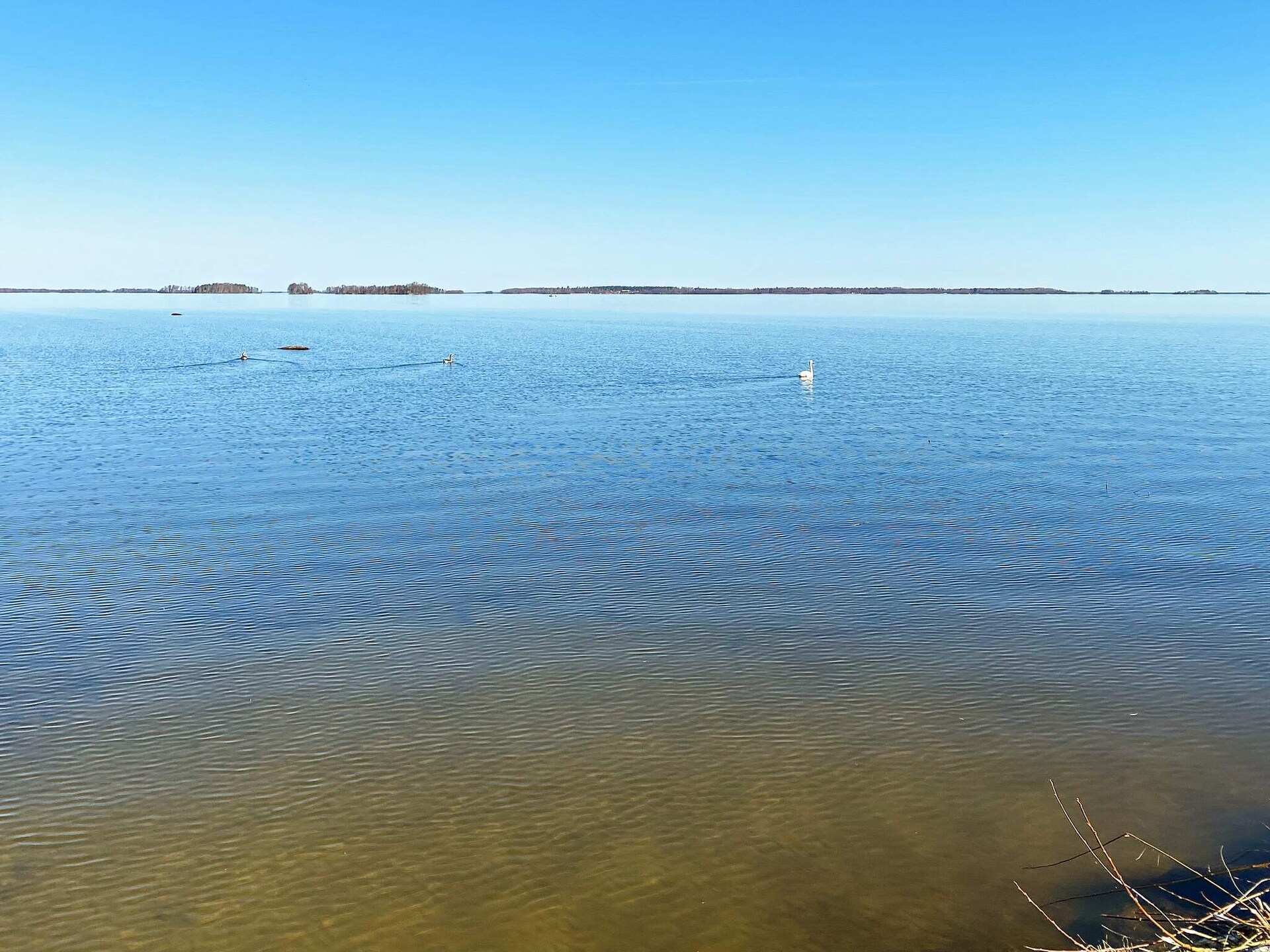 Vrijstaand vakantiehuis direct aan het Hjälmaren meer met privé roeiboot - foto 3