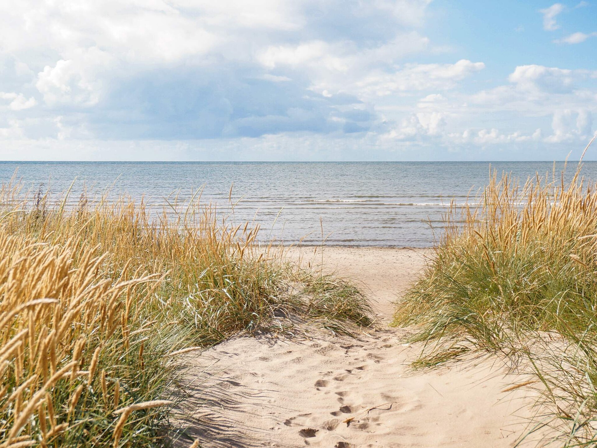 Knus vakantiehuis aan het strand van Skrea, 150m van zee - foto 6