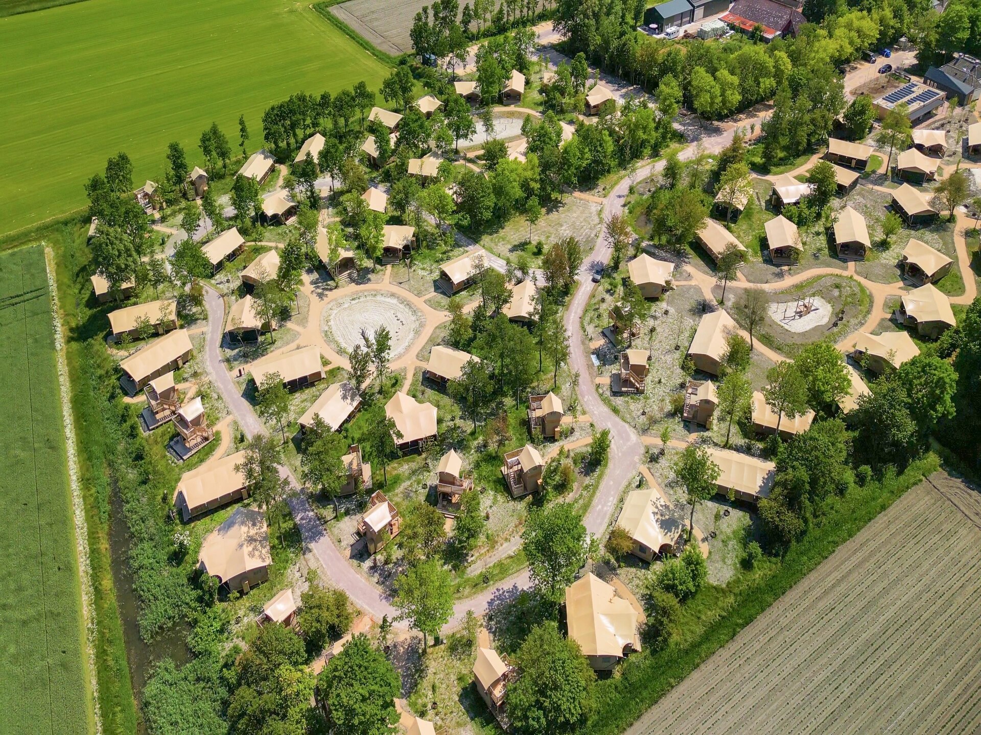 Safaritent op autoluw glamping resort bij Nationaal Park Lauwersmeer - foto 12