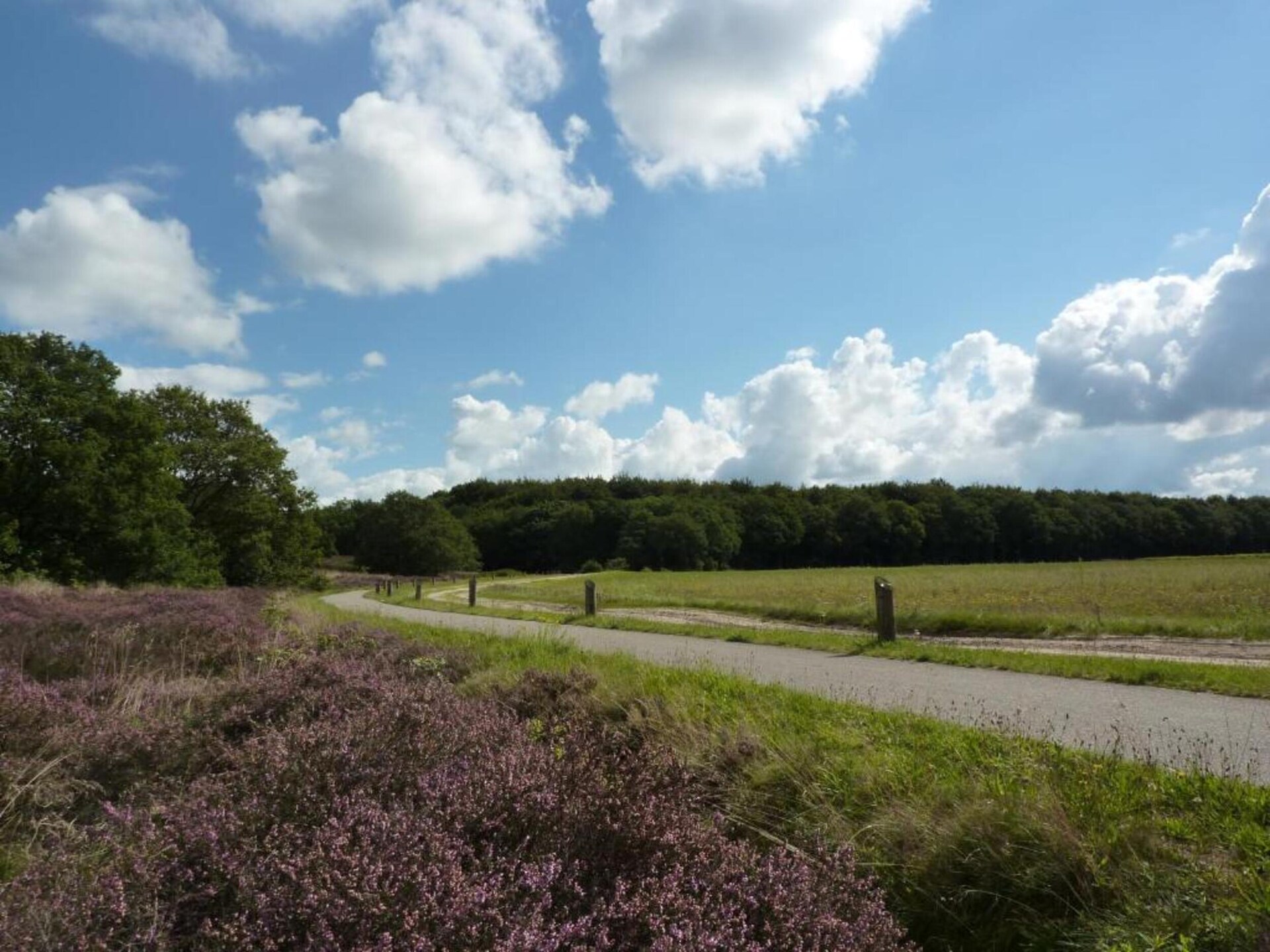 Safaritent op autoluw glamping resort bij Nationaal Park Lauwersmeer - foto 29