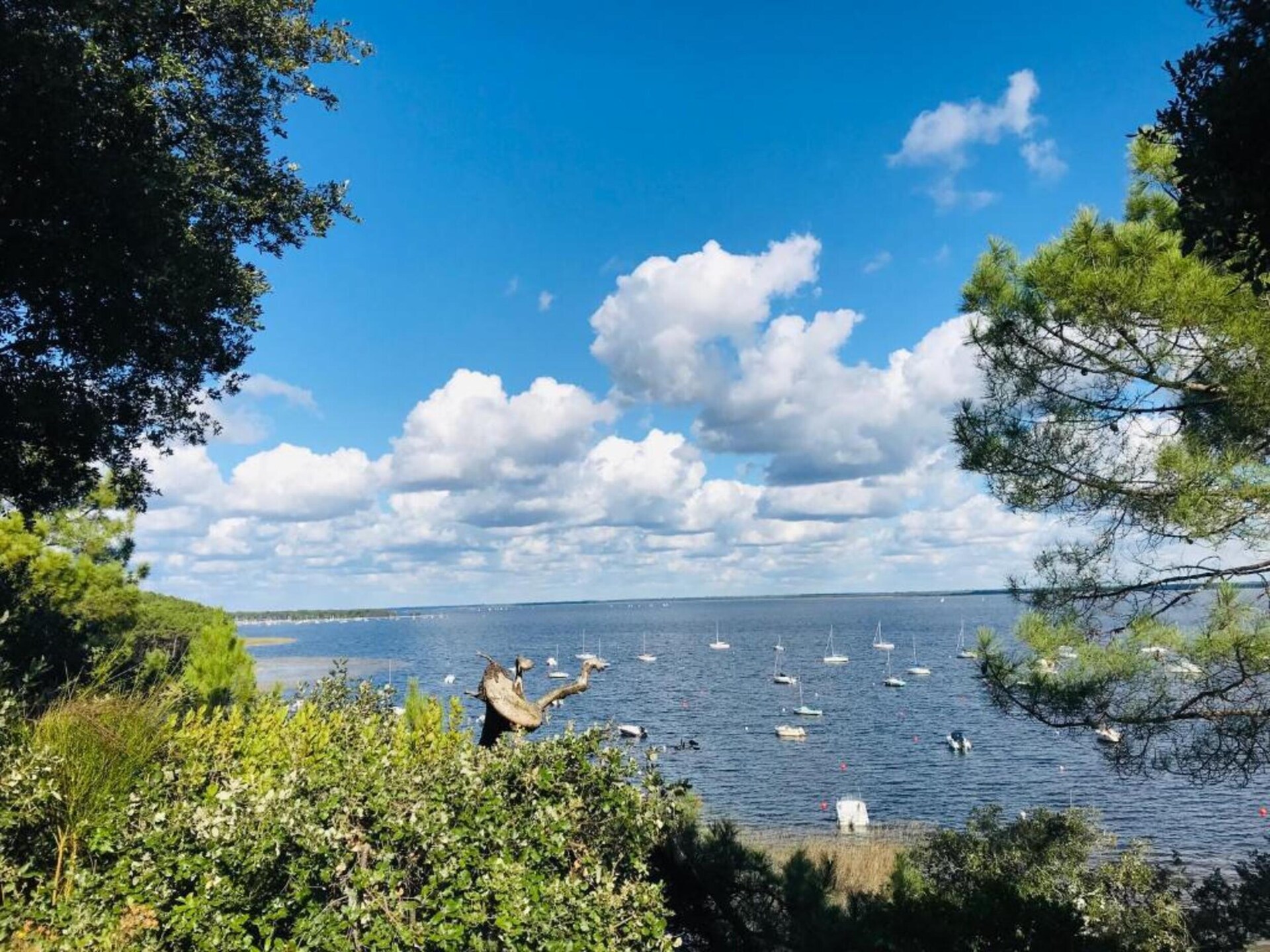 6-persoons vakantiehuis in Hourtin op 400 m van het meer - foto 34