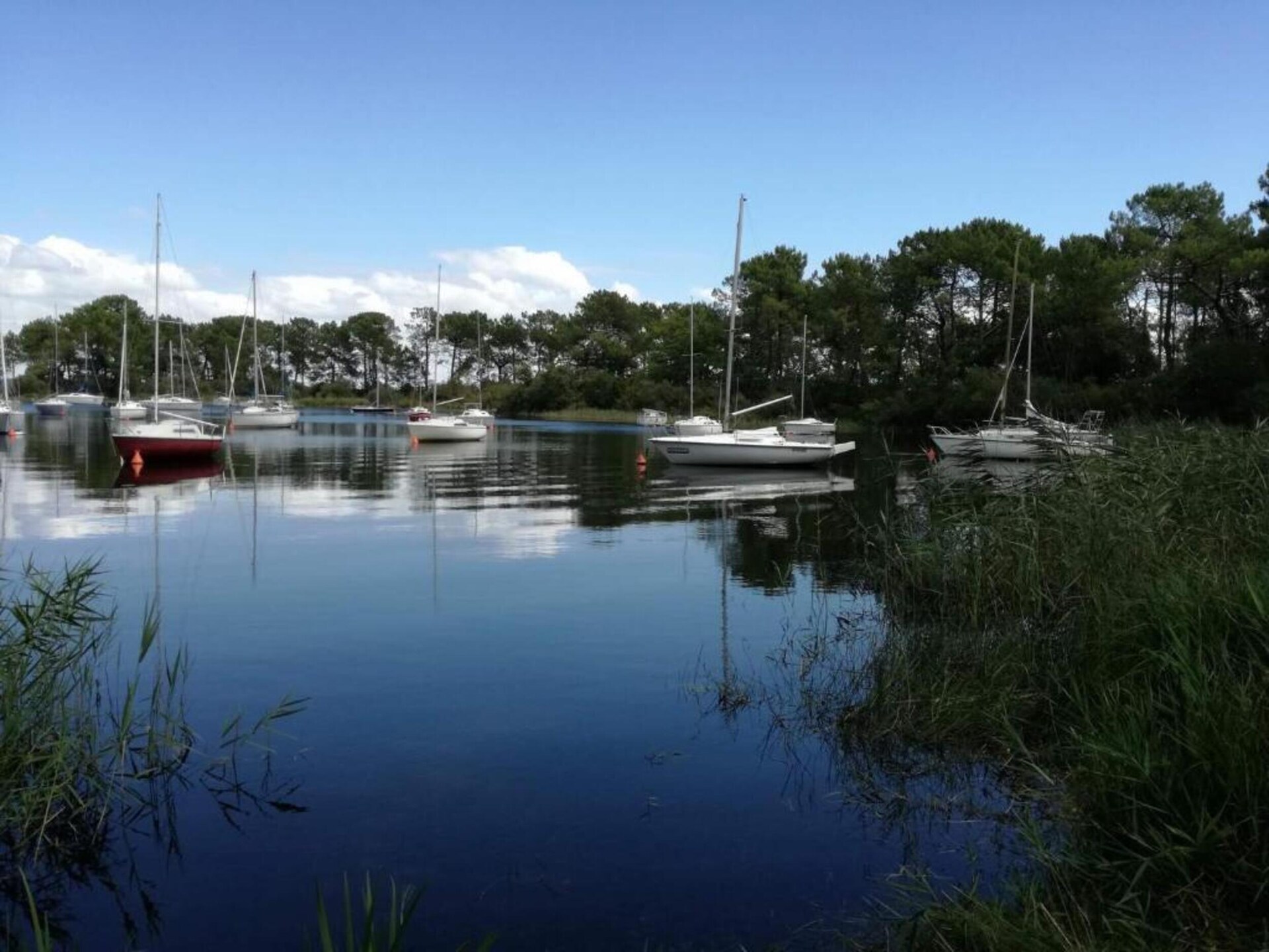 6-persoons vakantiehuis in Hourtin op 400 m van het meer - foto 26