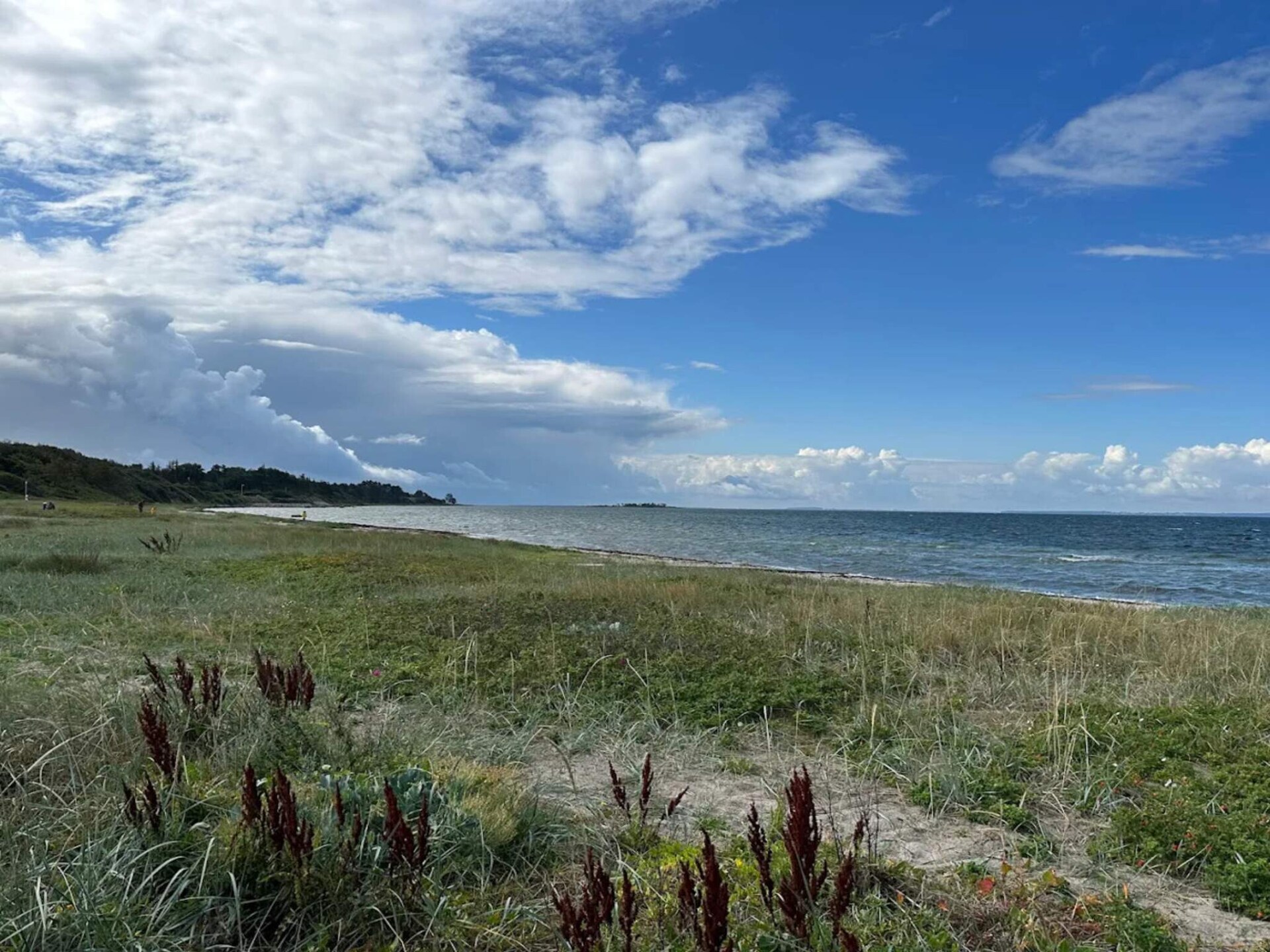6-persoons vakantiehuis aan zee in Jægerspris · 6 pers. - foto 21