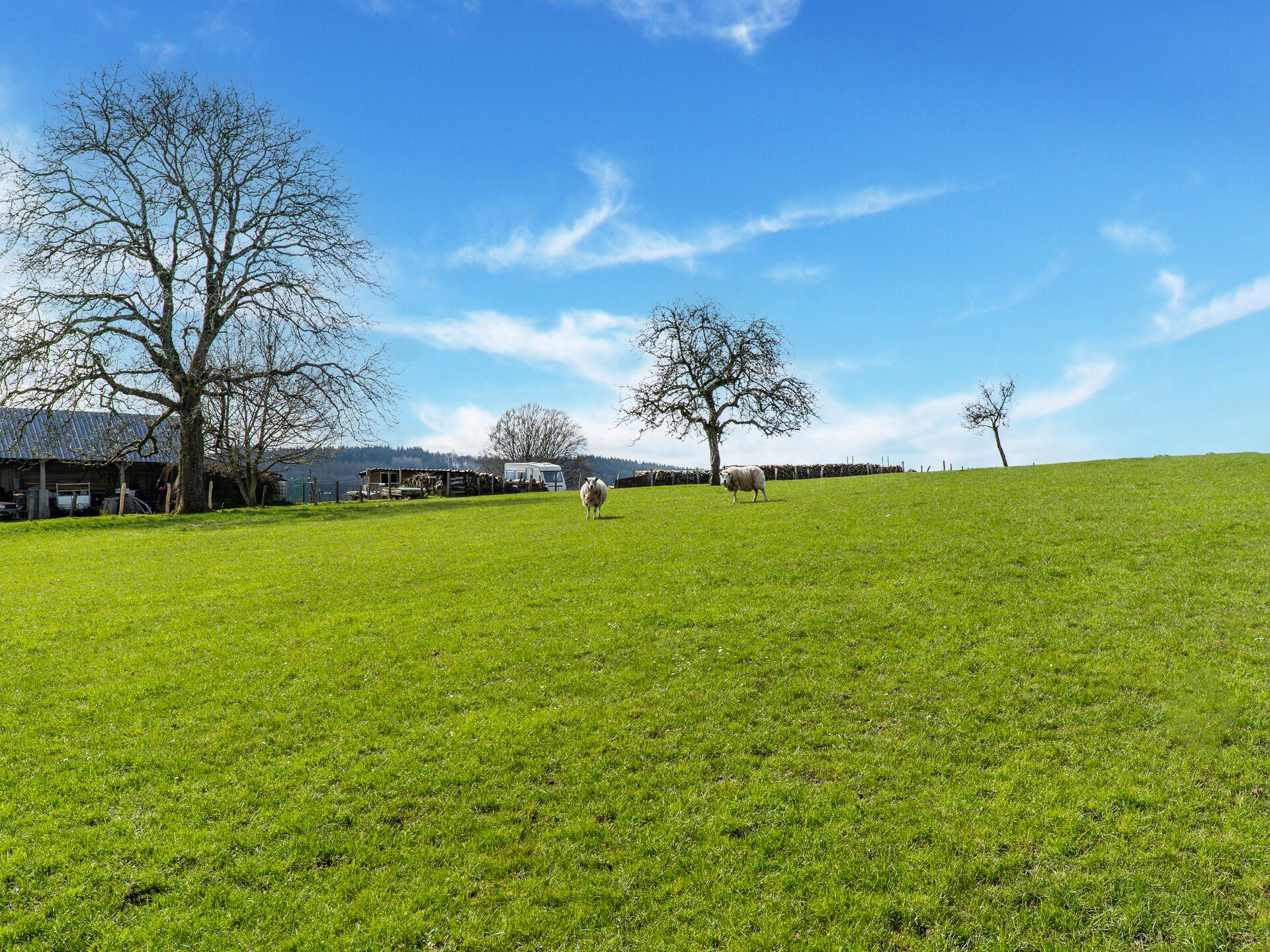 8-persoons vakantiehuis met panoramisch uitzicht in Bievre - foto 26